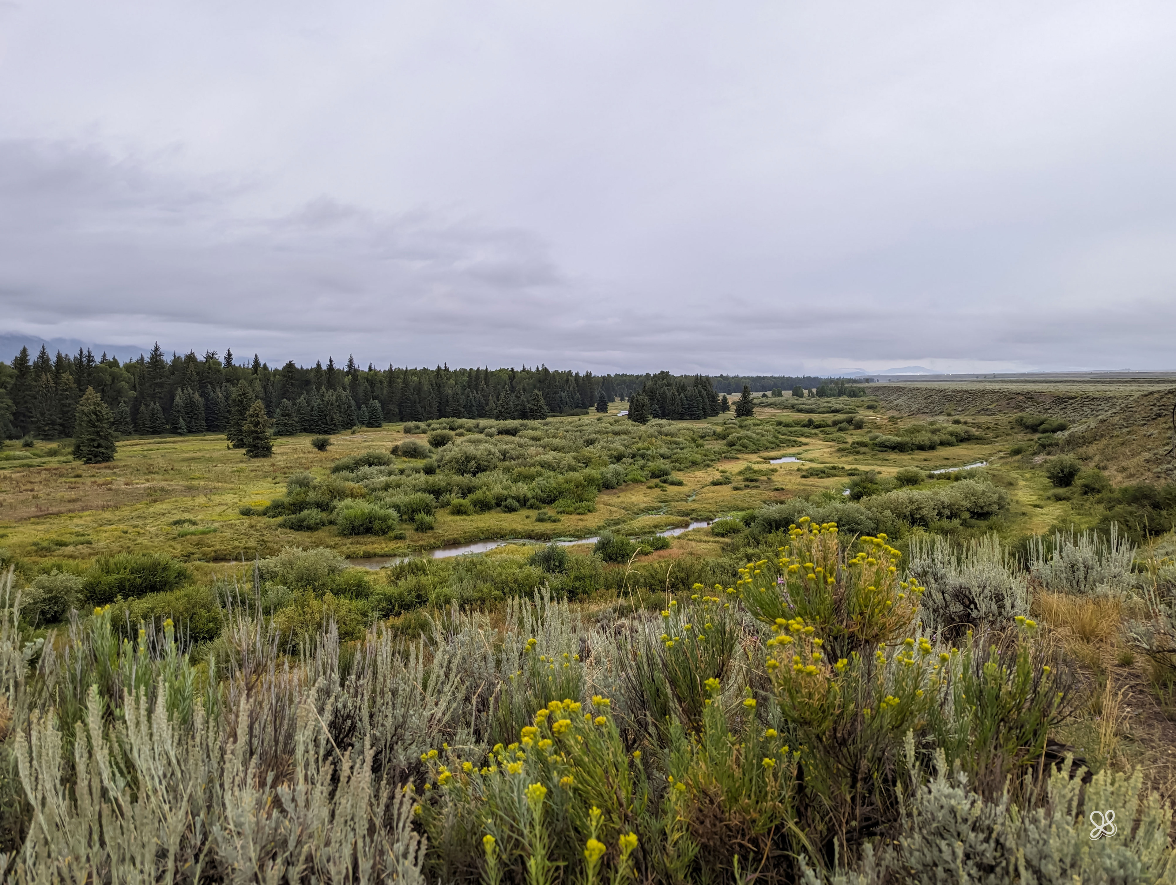 Moran - Wyoming