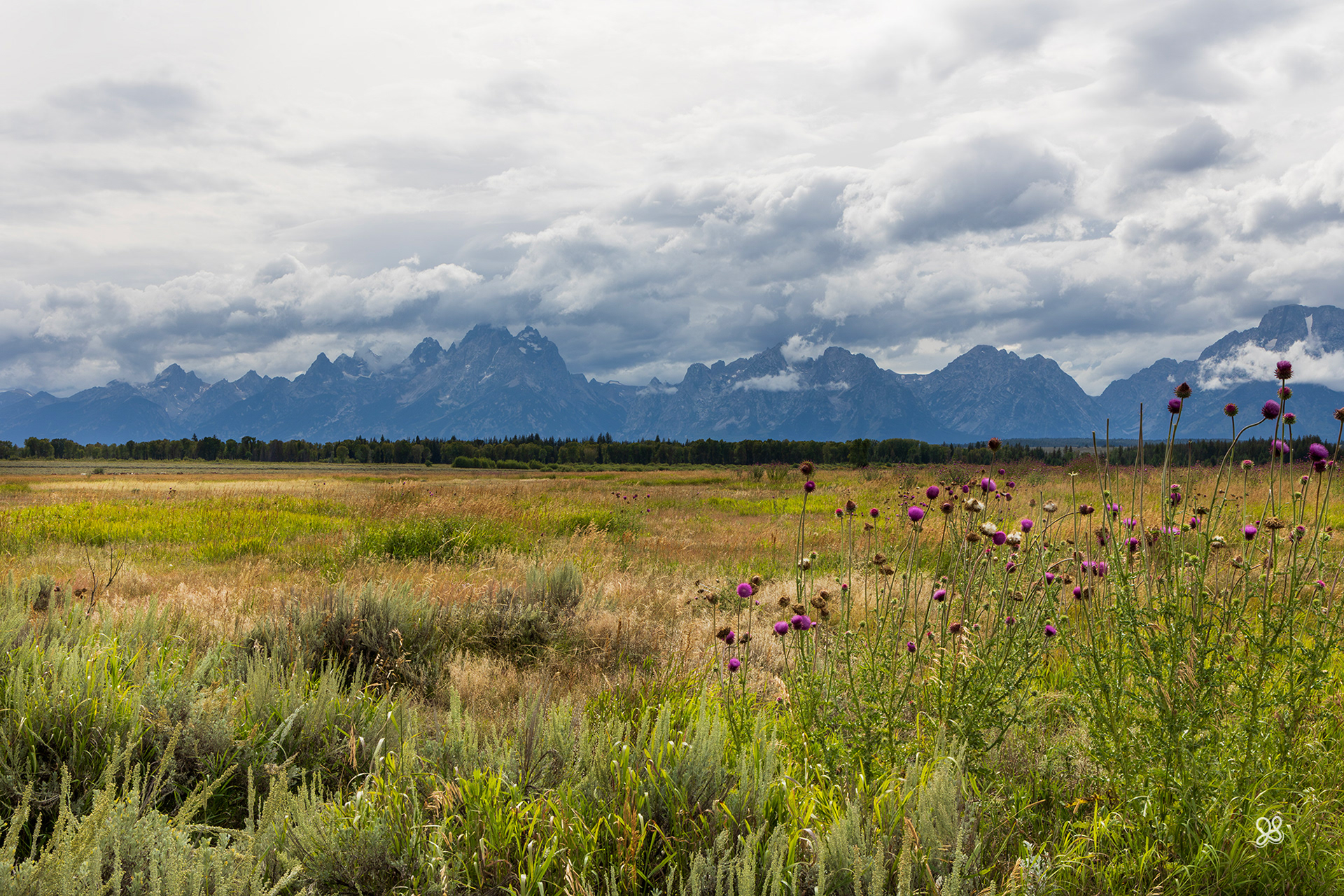 Grand Tetons - Wyoming