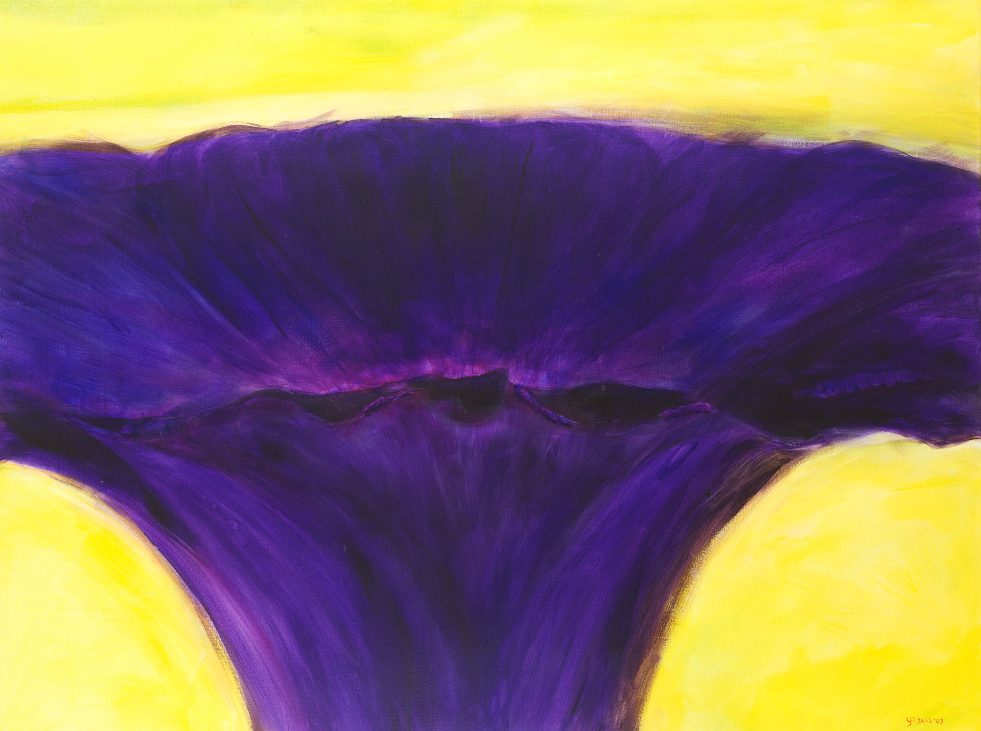 morning glory. 2007; 110x150cm; acrylics on canvas.