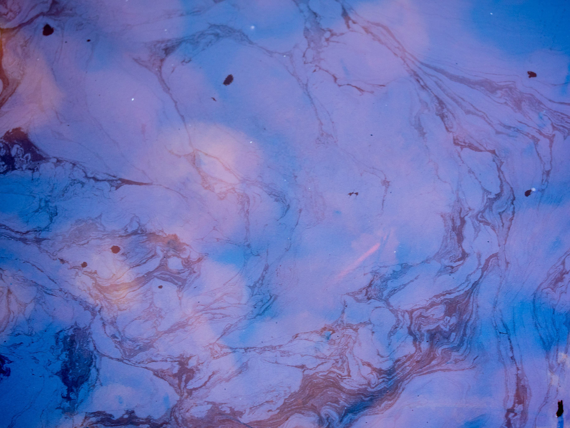 Deep time in the wetlands behind my home: leptothrix discophora and leptothric ochraceae, both bacteria that digest, or more appropriate, breath, iron. The blue film on the water ain't no oil, it is a colony of leptothrix discophora floating on the water while reducing "rust" in the water. The ochre-reddish blobs in the water  are colonies from it's counterpart, "leptothrix ochraceae". They oxidize iron. Together they not only make a natural battery, but in the history of earth they are the "first lifers" on our planet, they have been around for more then 2000 000 000 years.