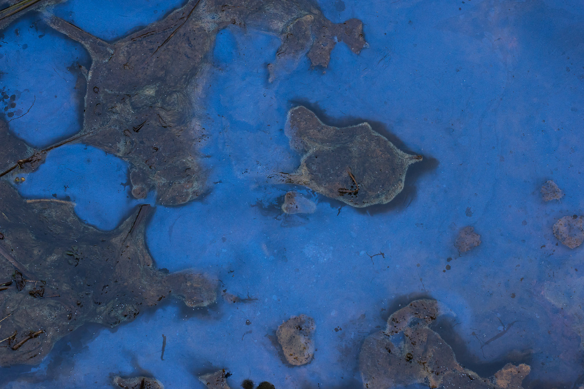 leptothrix discophora in het blauwe uur, op de oppervlakte van een sloot in een kwelgebied. Deze opname werd gemaakt op 12 februari, in een gehekkelde sloot. De relatief egale interferentie-kleur kan zo worden waargenomen tijdens "het blauwe uur", als de hemel een mooie koepel van diffuus blauw licht maakt.