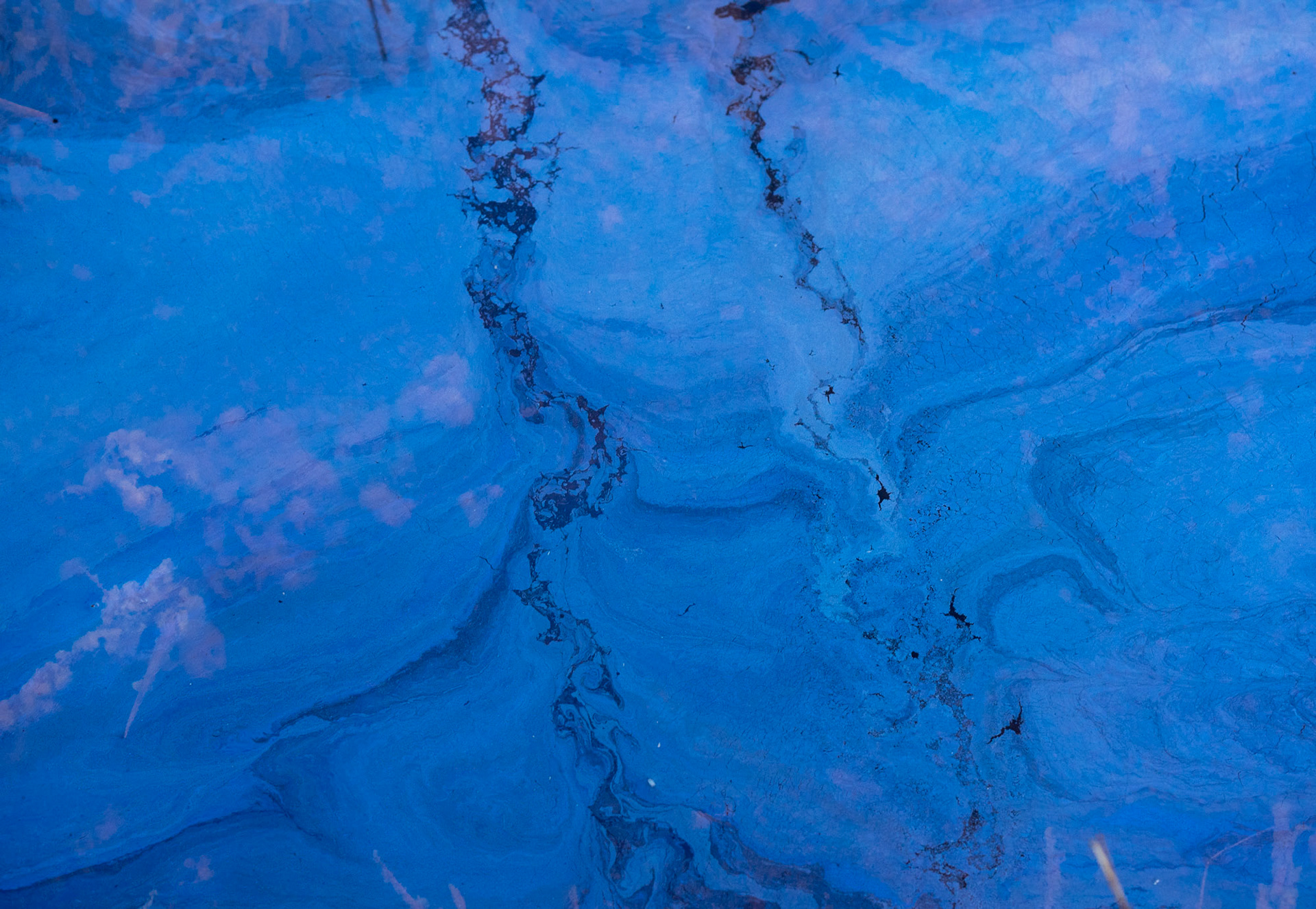 Deep time in the wetlands behind my home: leptothrix discophora and leptothric ochraceae, both bacteria that digest, or more appropriate, breath, iron. The blue film on the water ain't no oil, it is a colony of leptothrix discophora floating on the water while reducing "rust" in the water. The ochre-reddish blobs in the water  are colonies from it's counterpart, "leptothrix ochraceae". They oxidize iron. Together they not only make a natural battery, but in the history of earth they are the "first lifers" on our planet, they have been around for more then 2000 000 000 years.