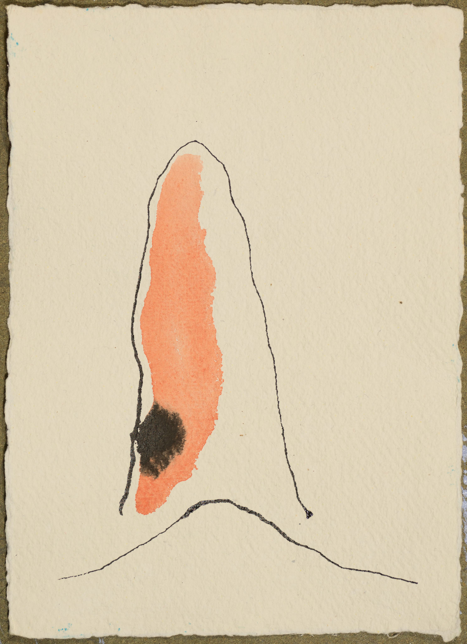 very short living formation, with on the left a pattern of inner erosion