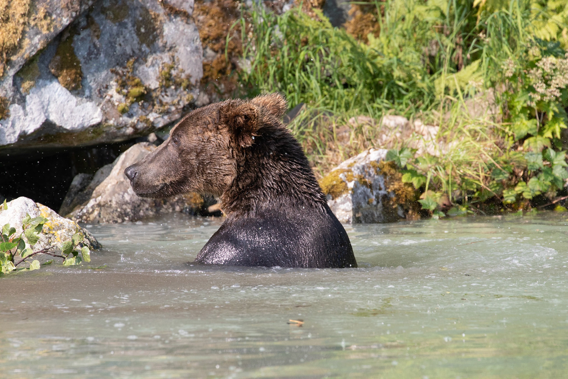 Surveying the Coastline