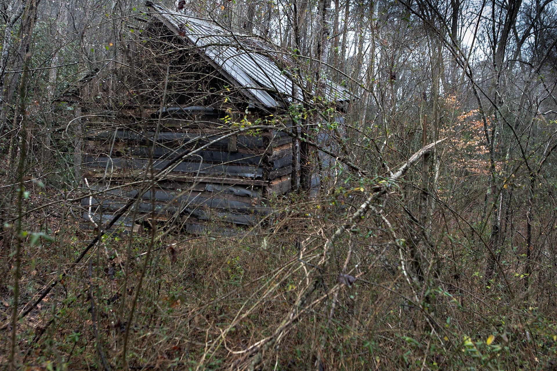 Cabin Near Hanging Rock NC
