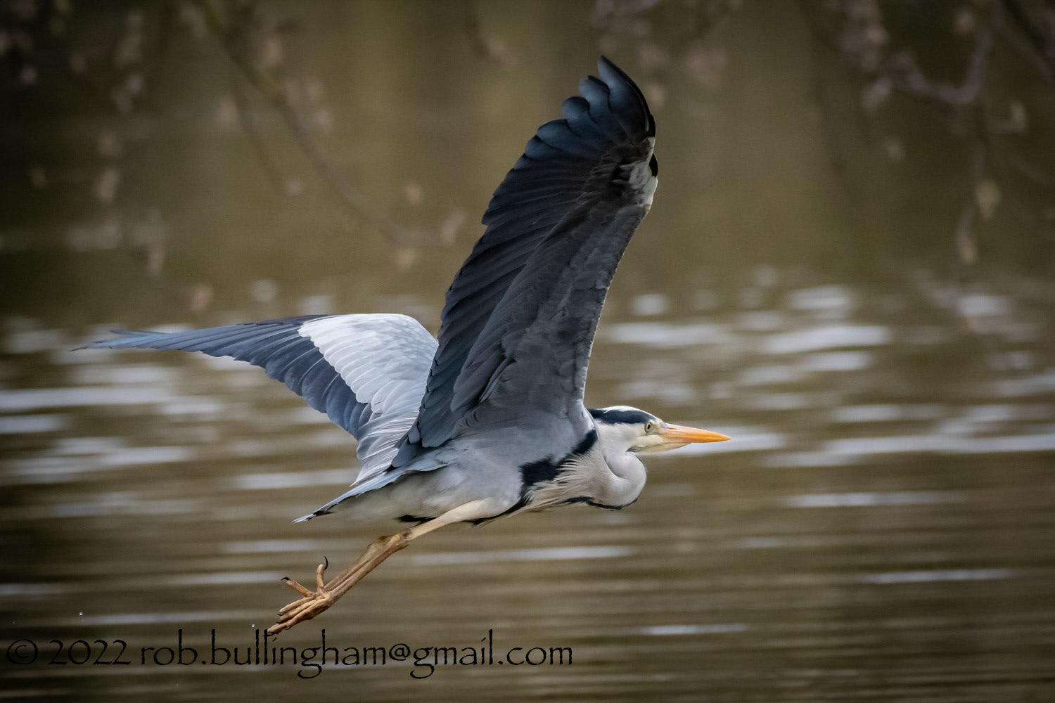 taking flight