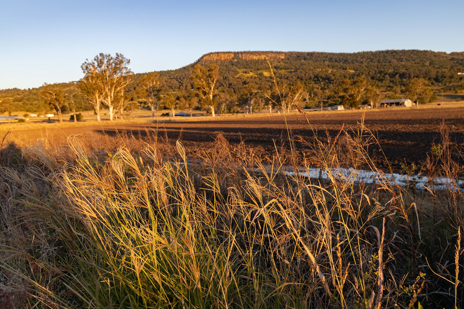 Scenic Rim 12