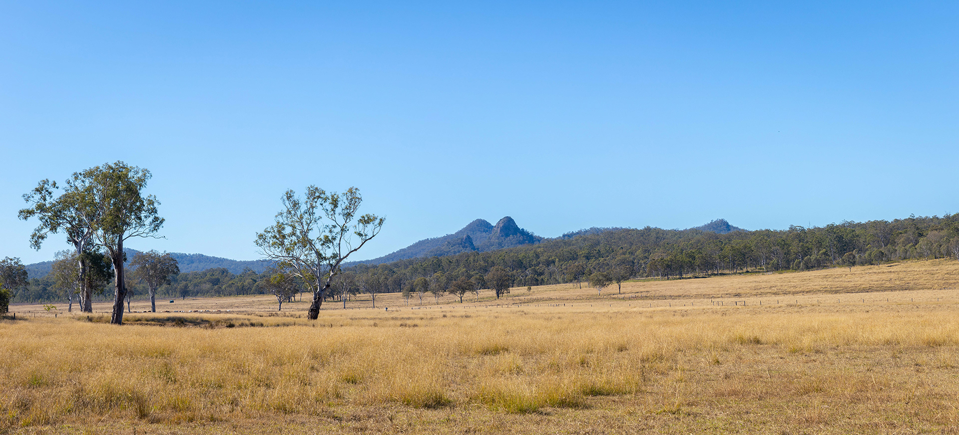 Scenic Rim 39