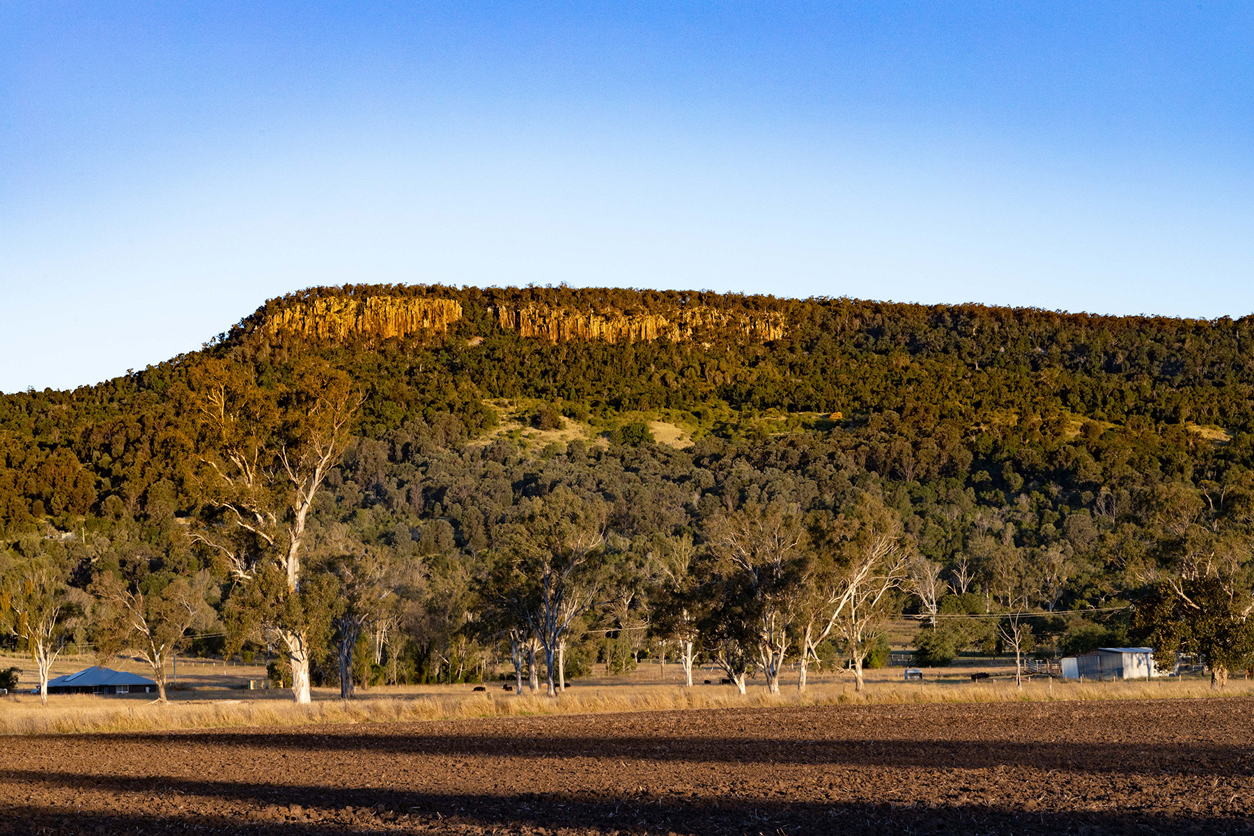 Scenic Rim 19
