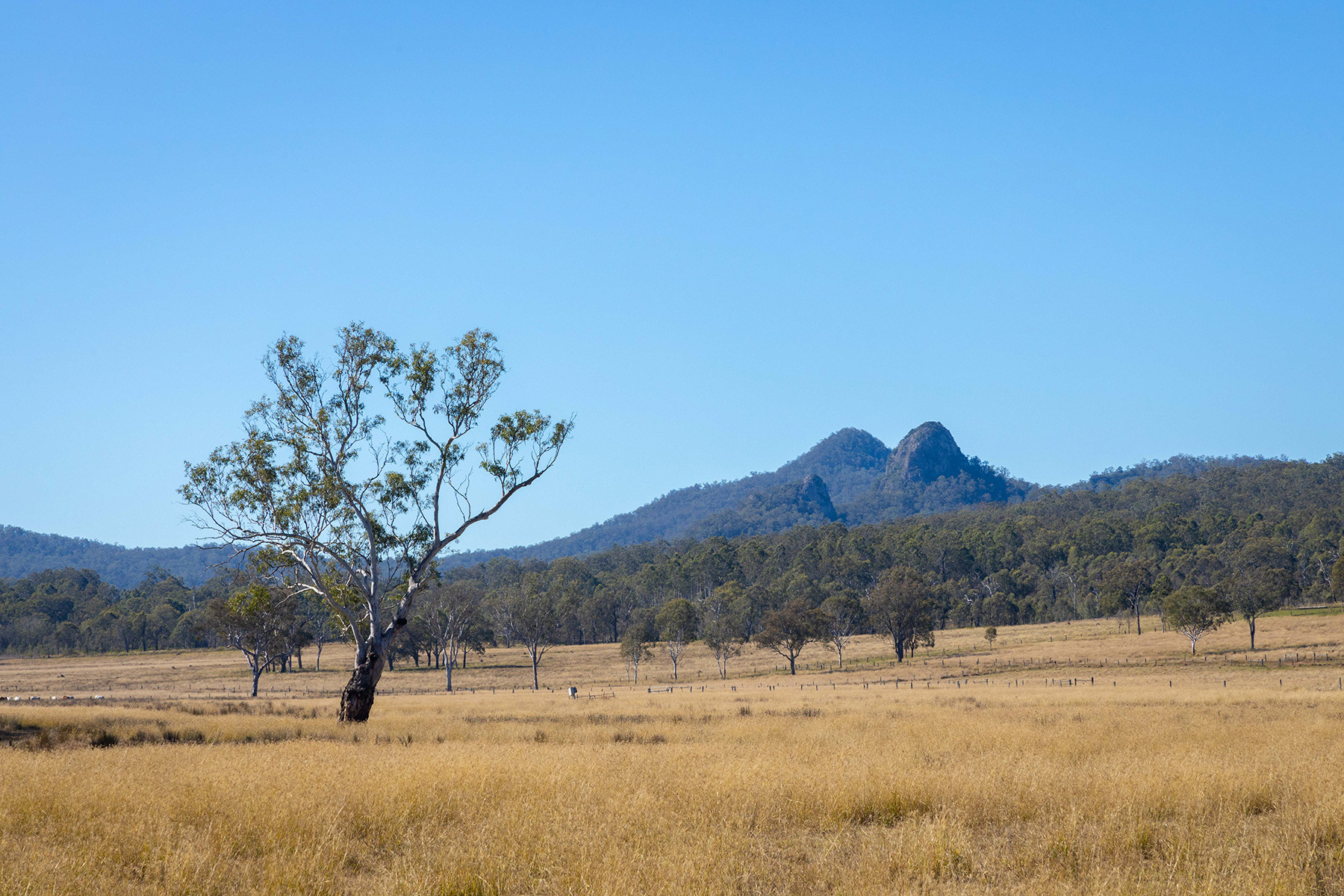 Scenic Rim 38
