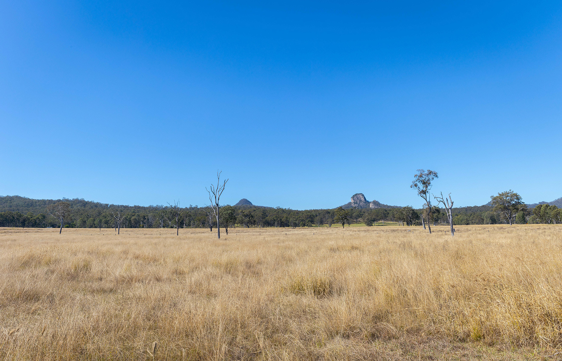 Scenic Rim 37