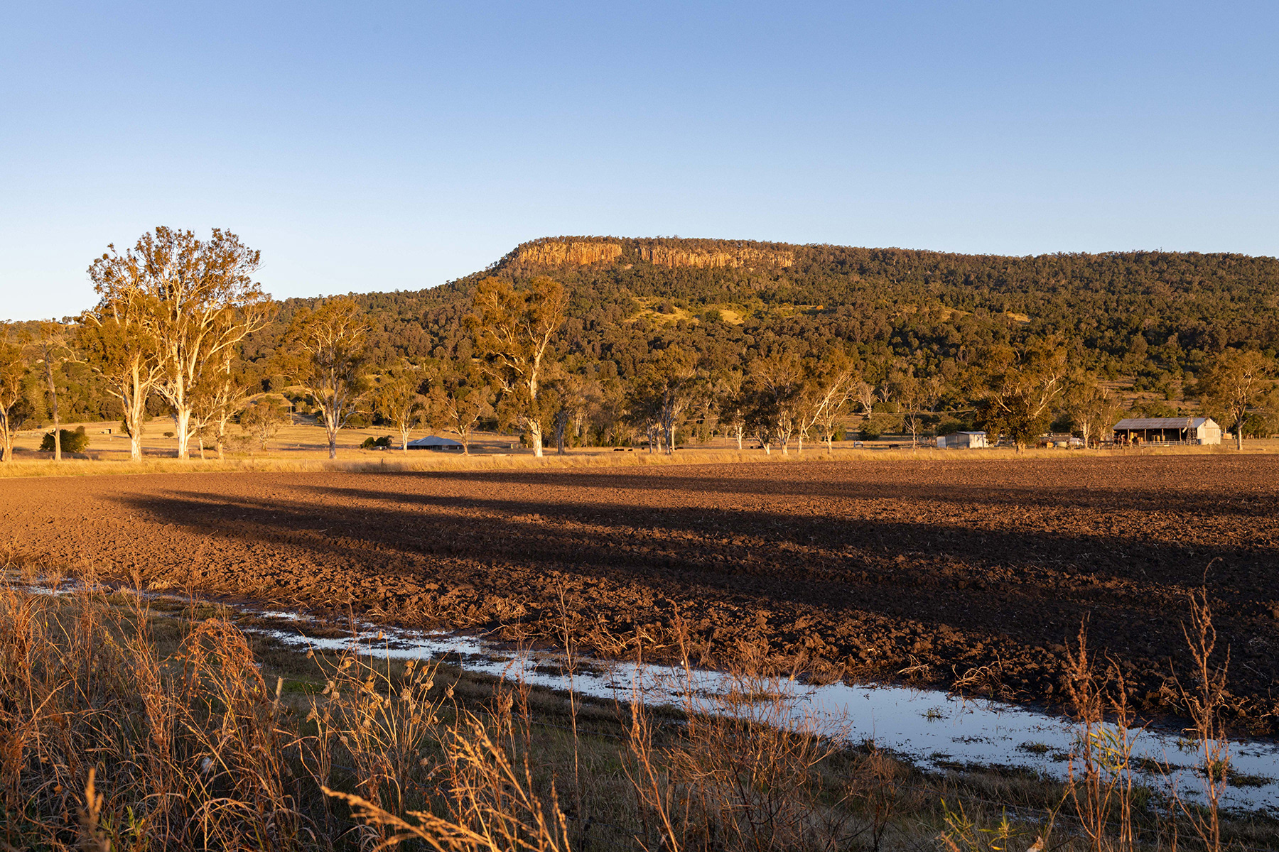 Scenic Rim 11