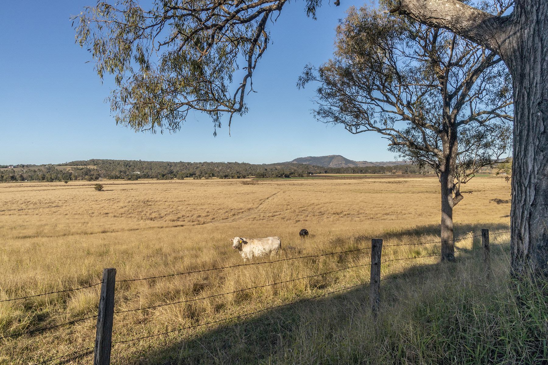Scenic Rim 31