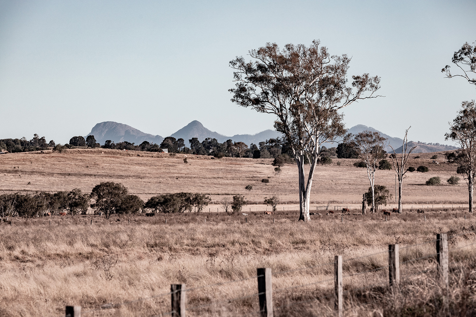Scenic Rim 3