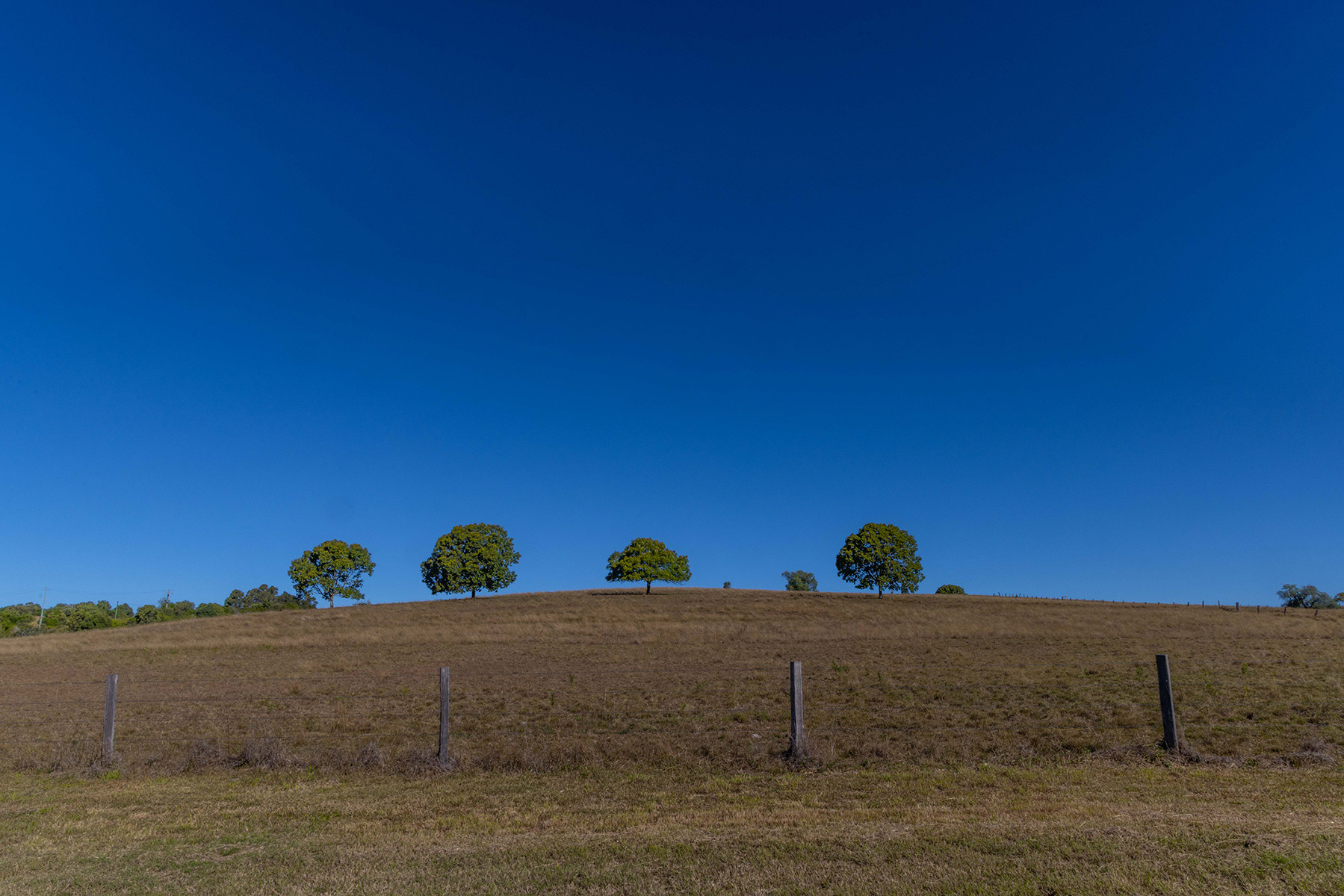 Scenic Rim 1