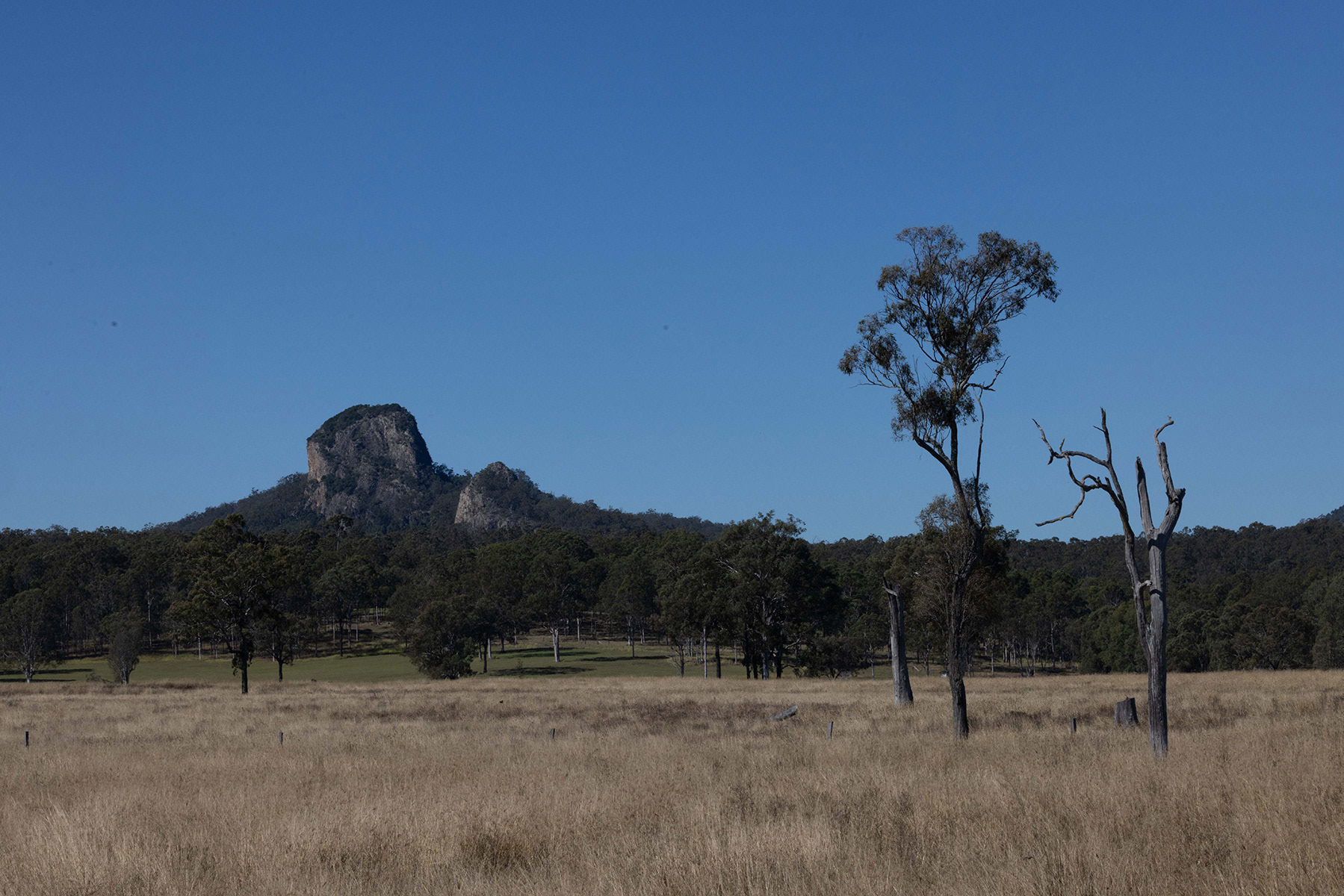 Scenic Rim 44