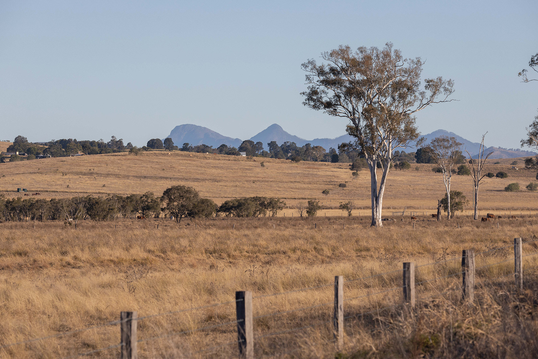 Scenic Rim 6
