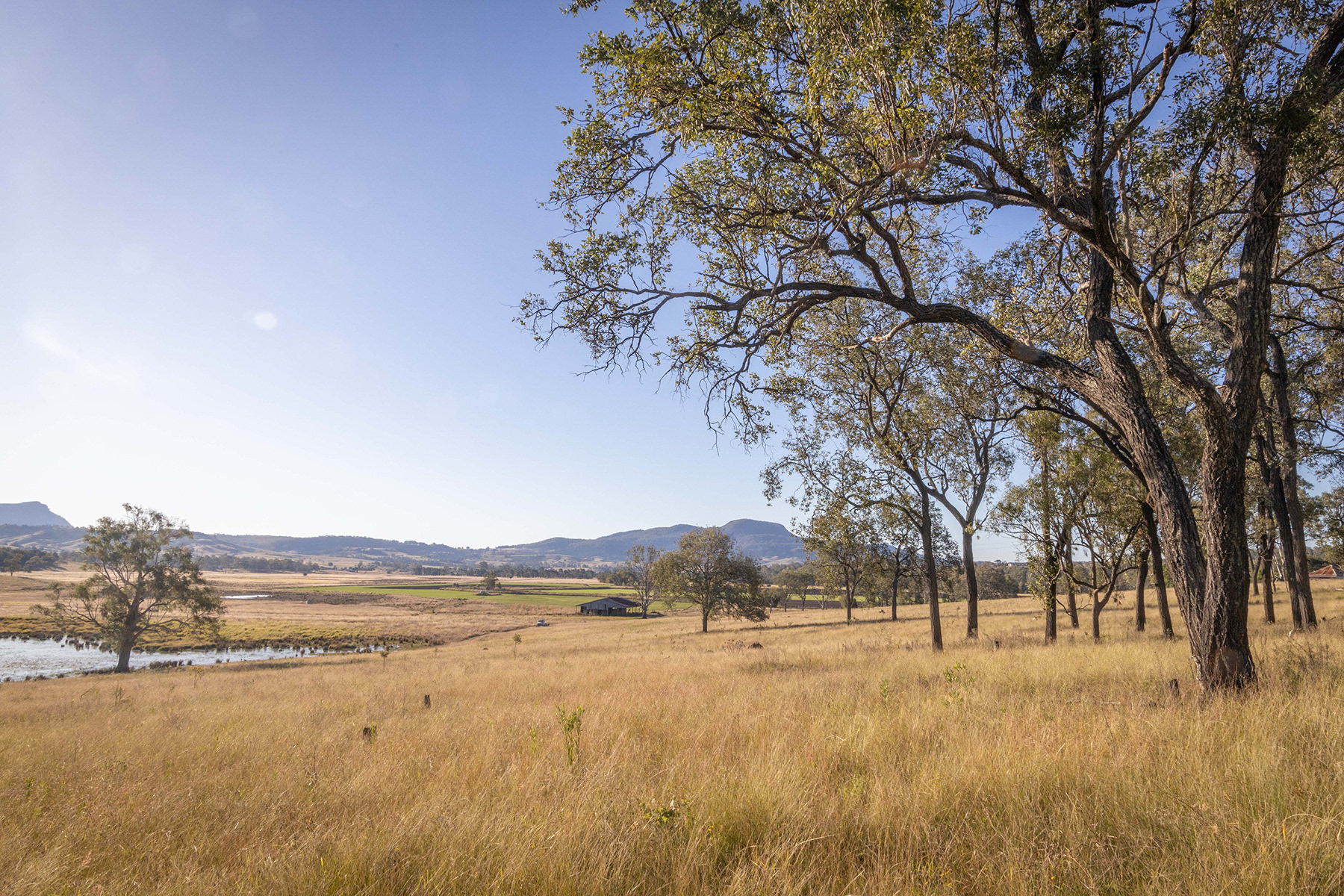 Scenic Rim 16