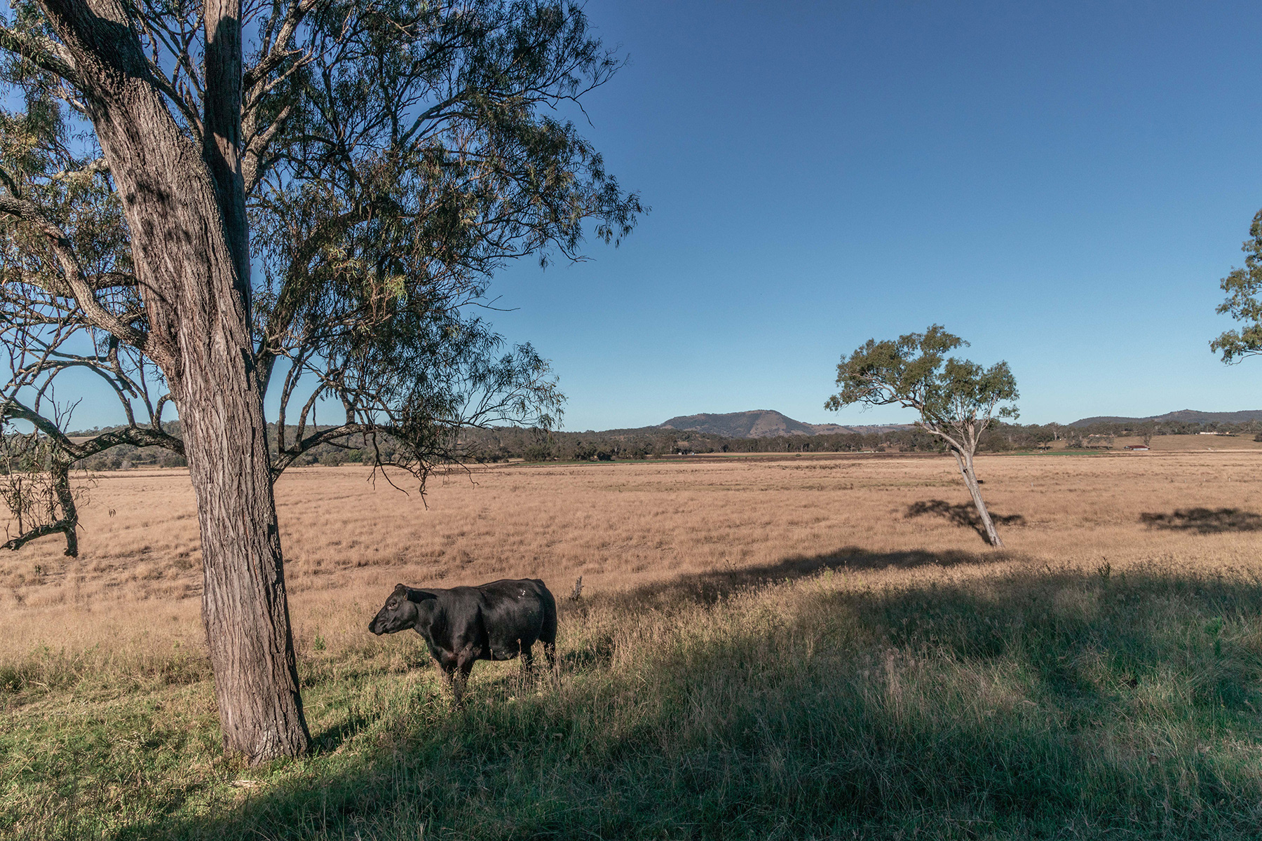 Scenic Rim 21