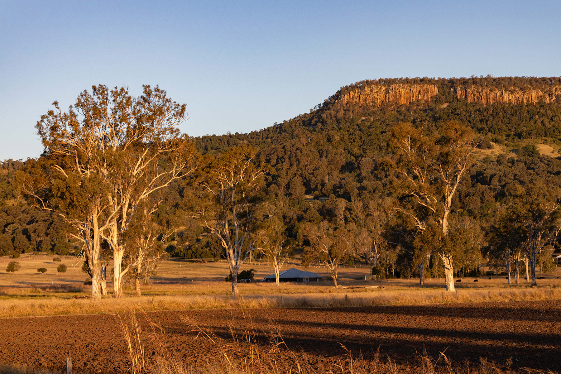 Scenic Rim 14
