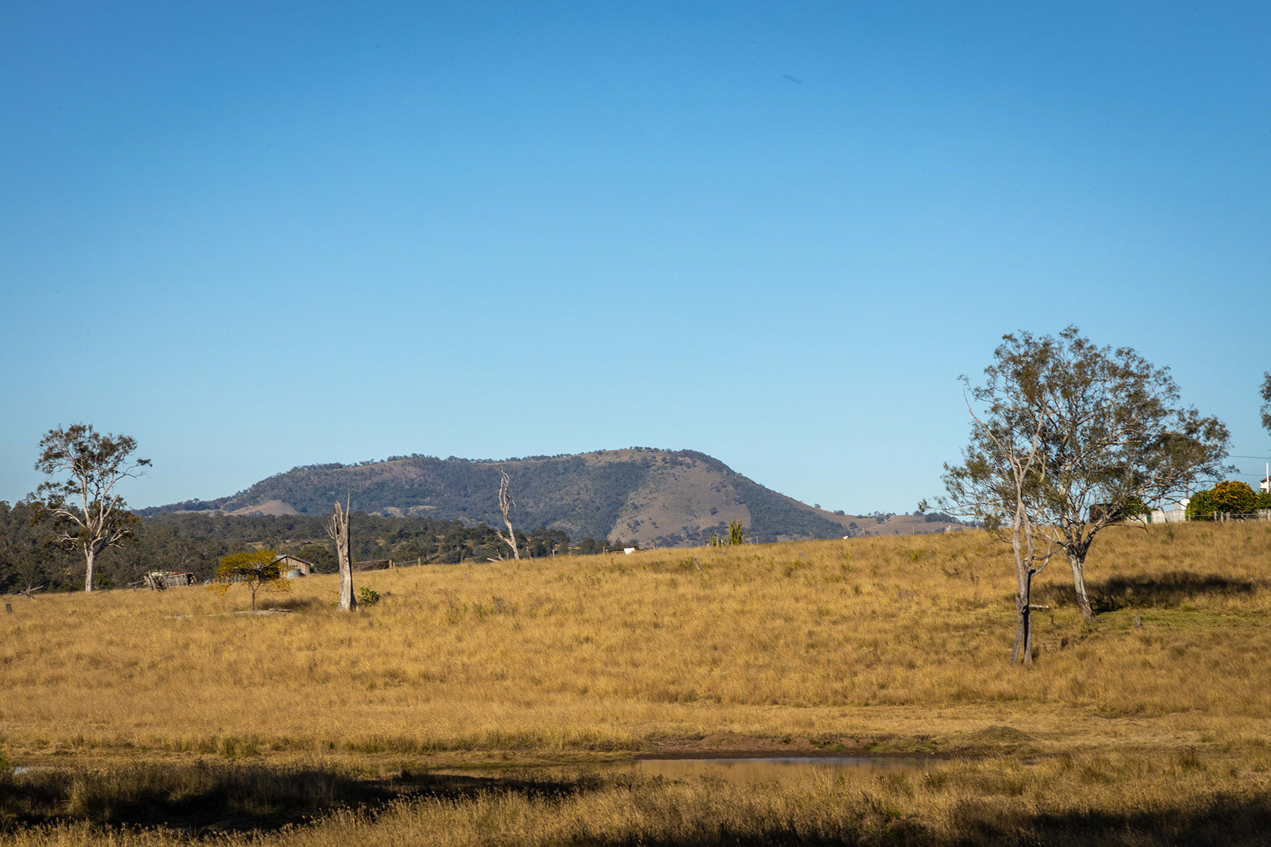 Scenic Rim 29