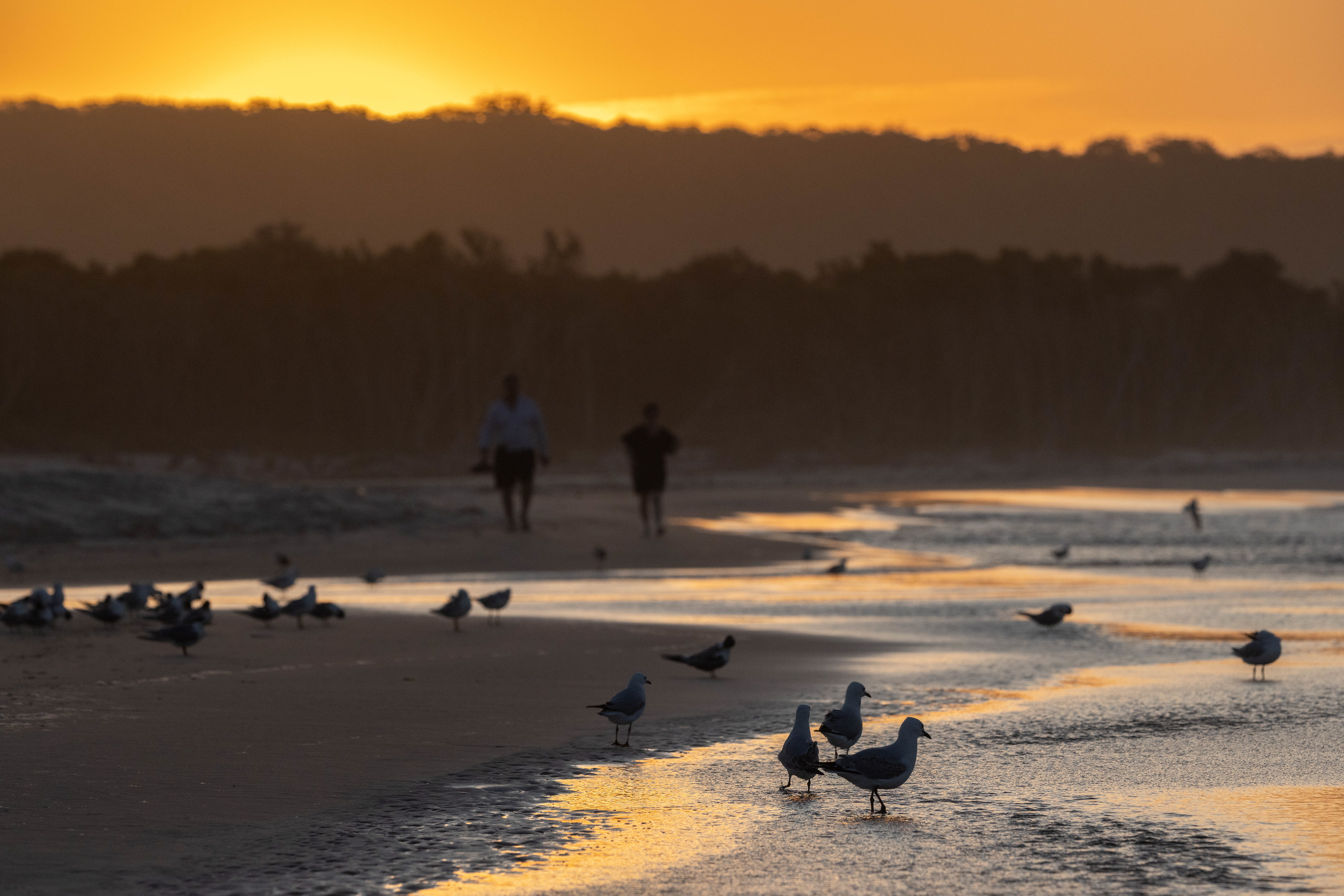 Stradbroke Island 3