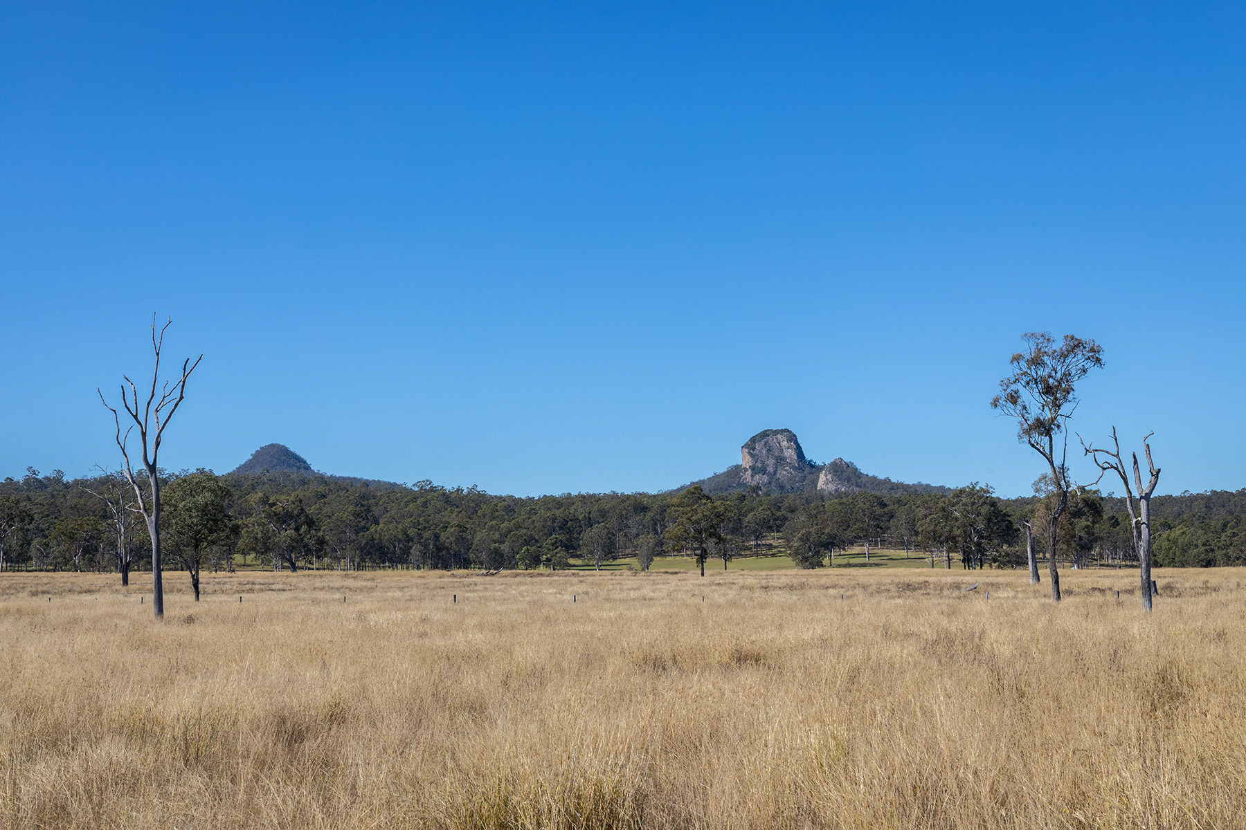 Scenic Rim 36