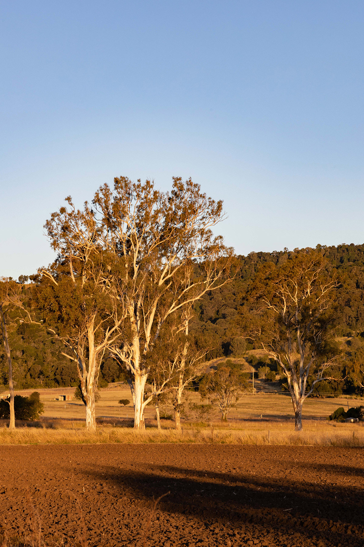 Scenic Rim 9