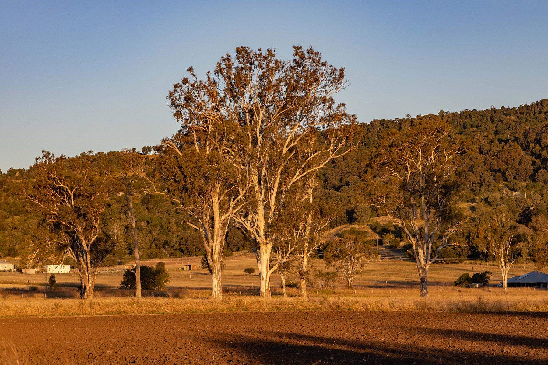 Scenic Rim 10