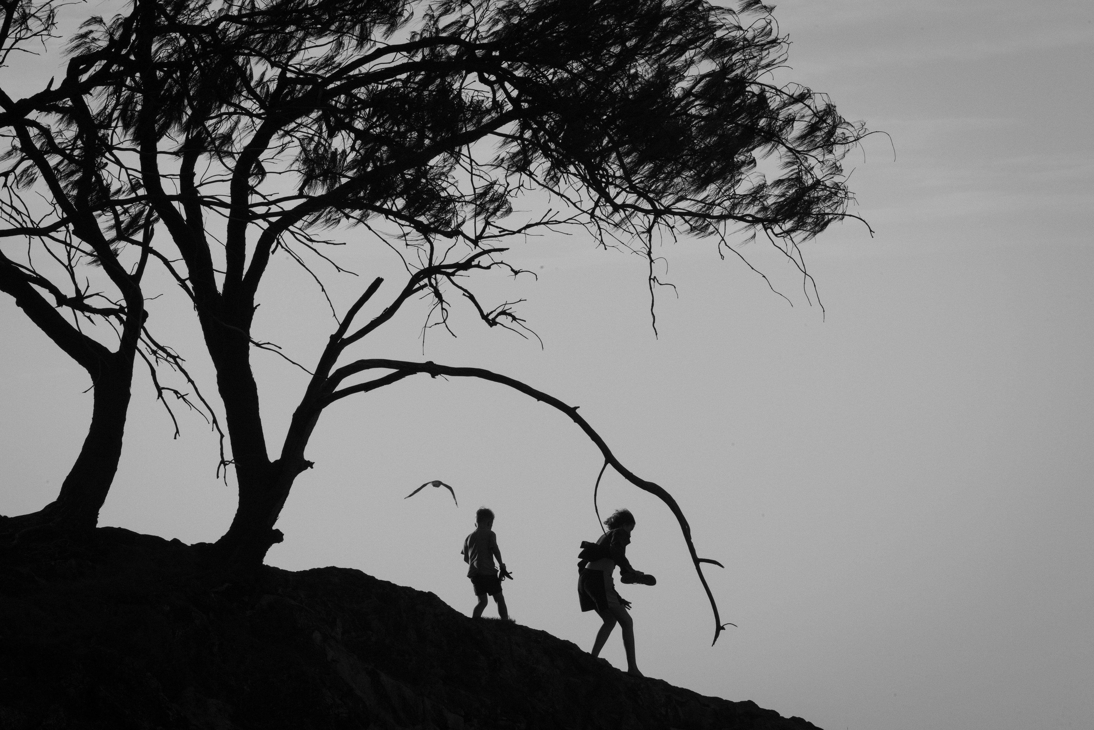 Stradbroke Island 2