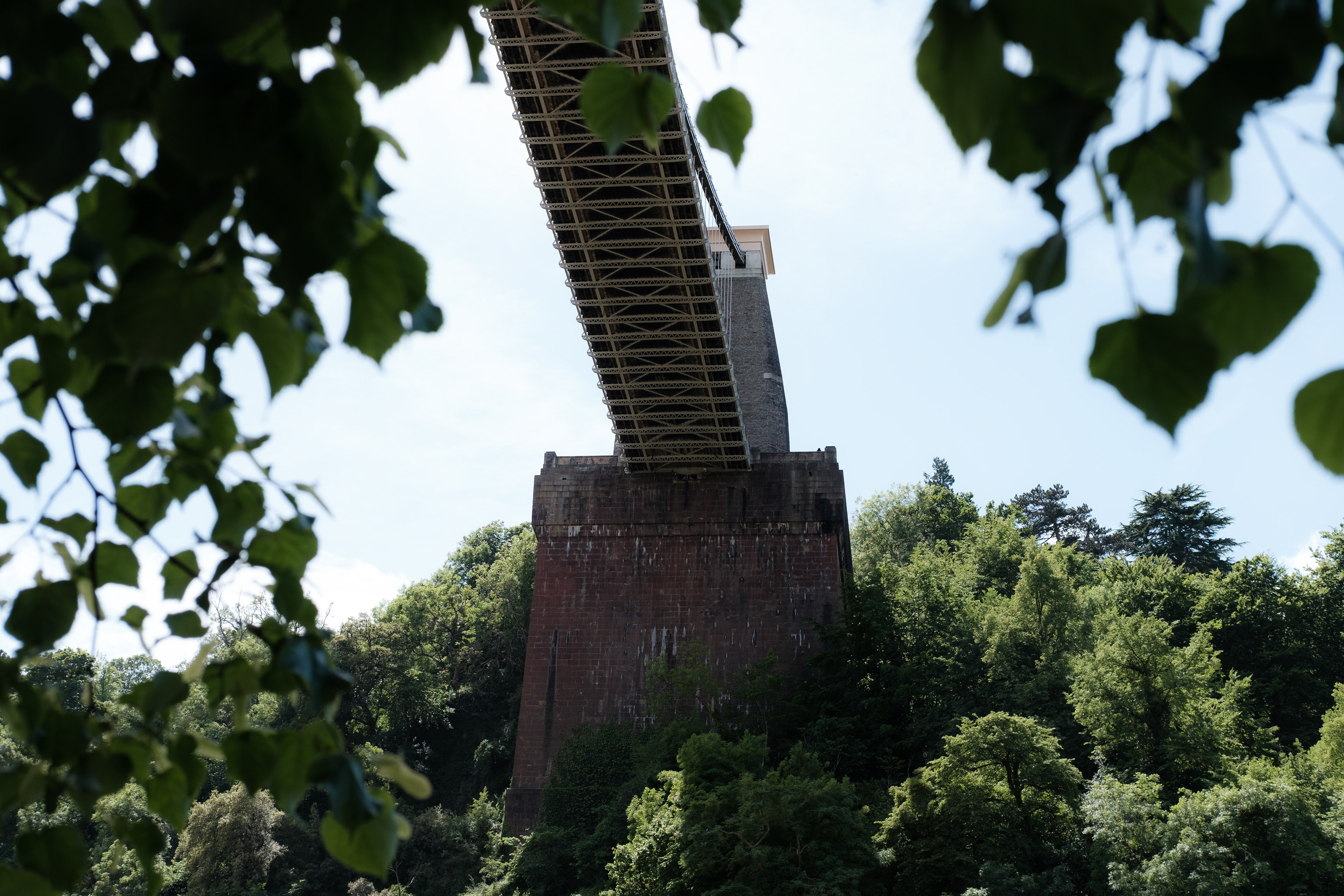 Shy Bridge