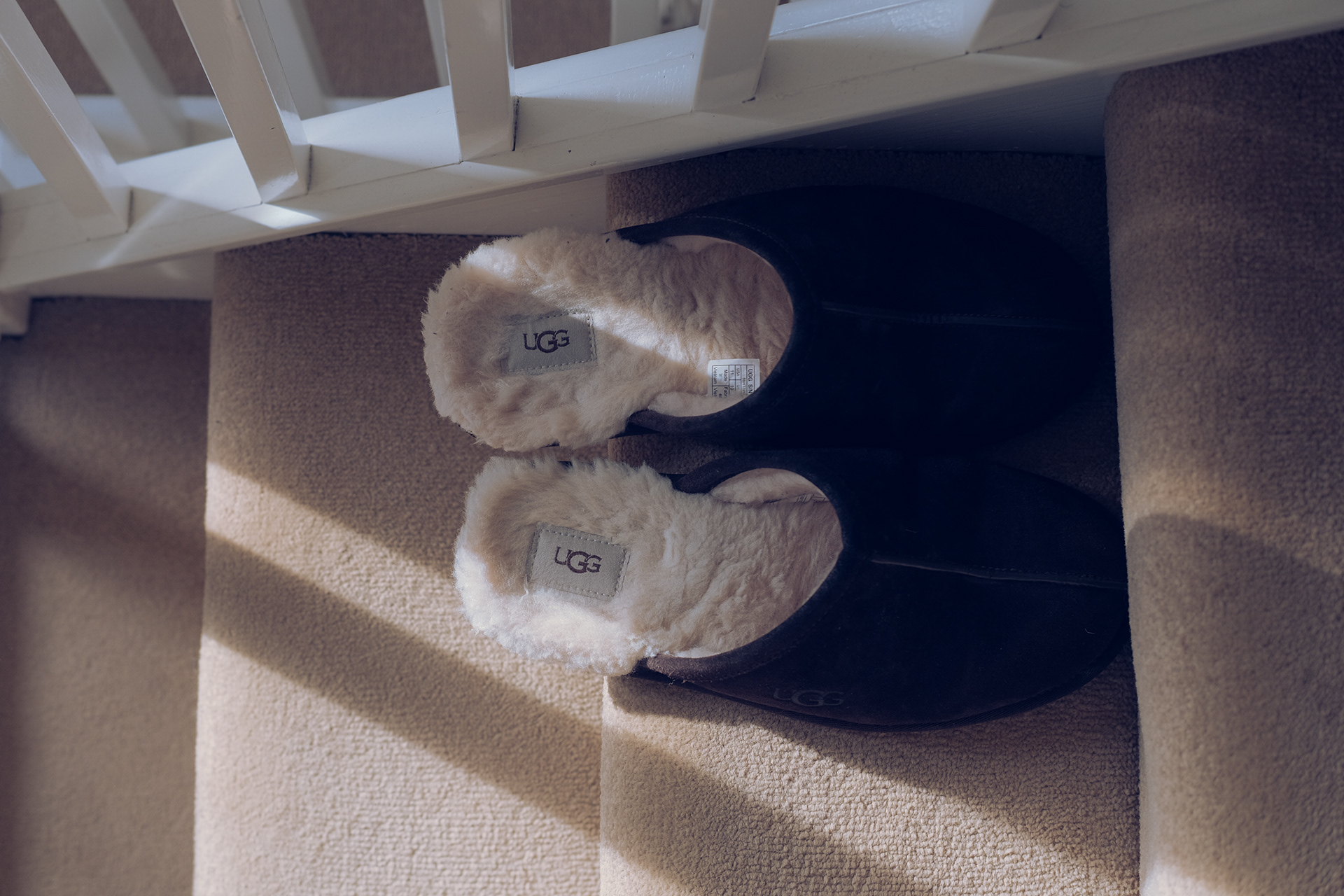 Early morning sun of my comfortable spot