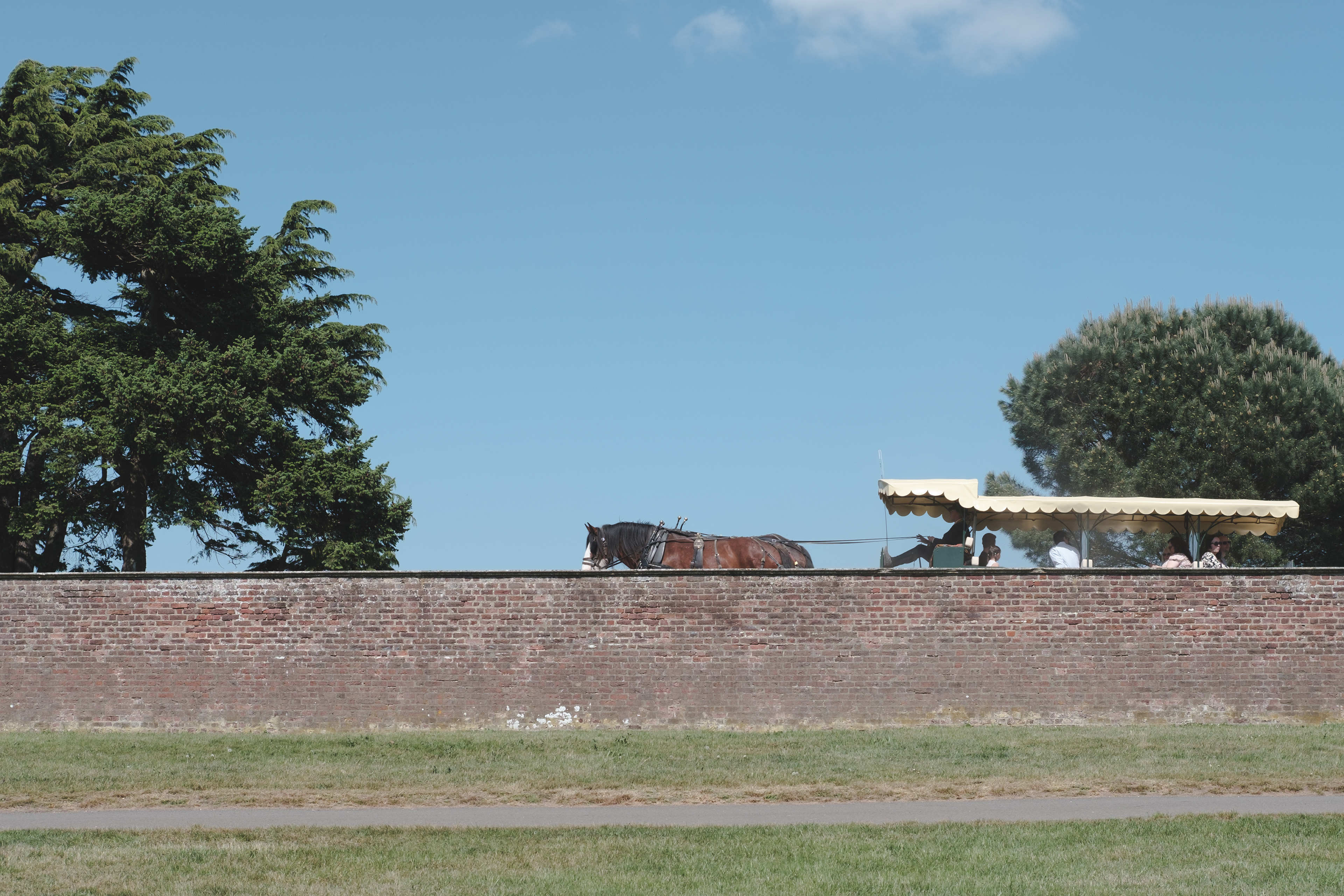 Horse and cart at Hampton court palace