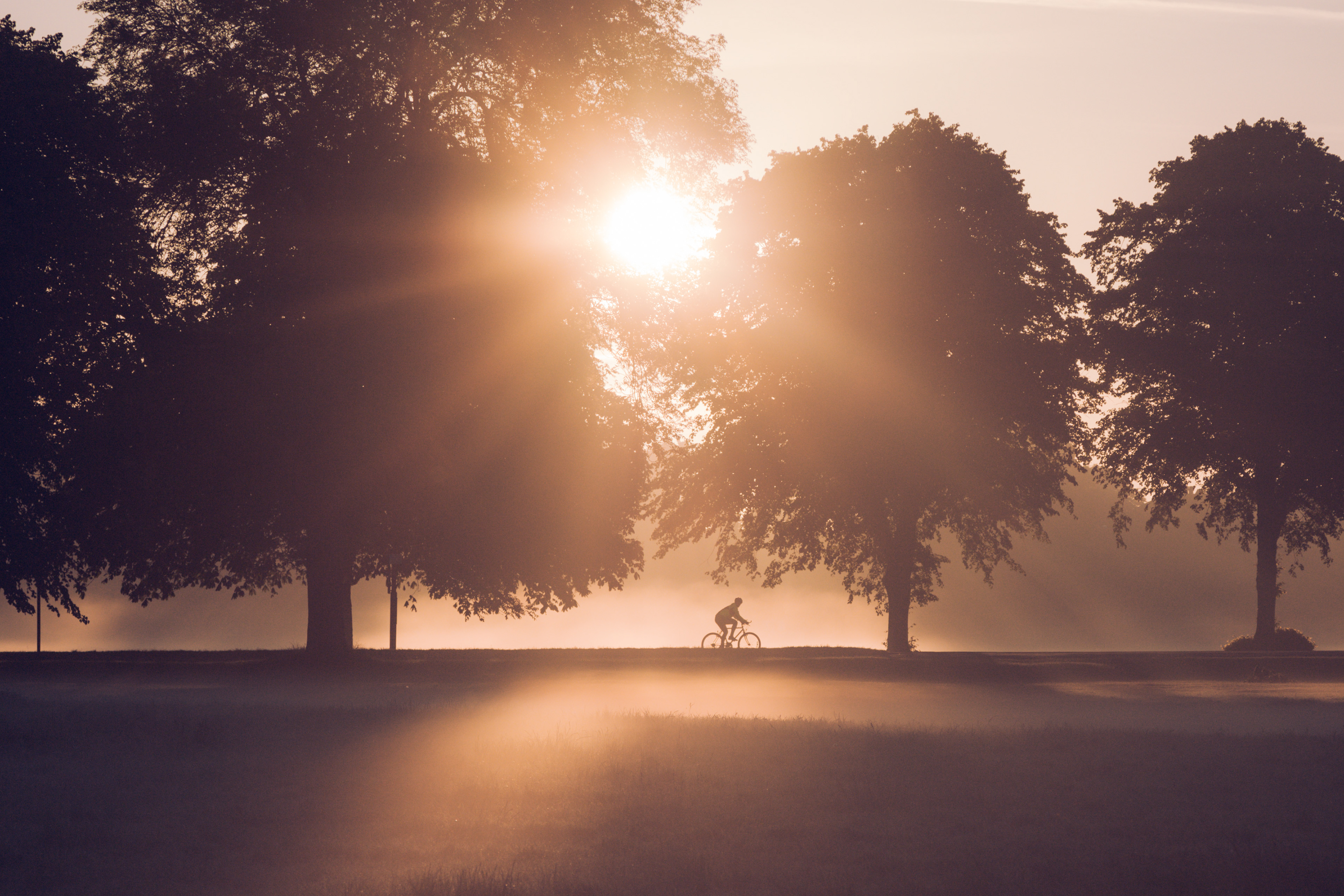 Early morning cyclist on the downs