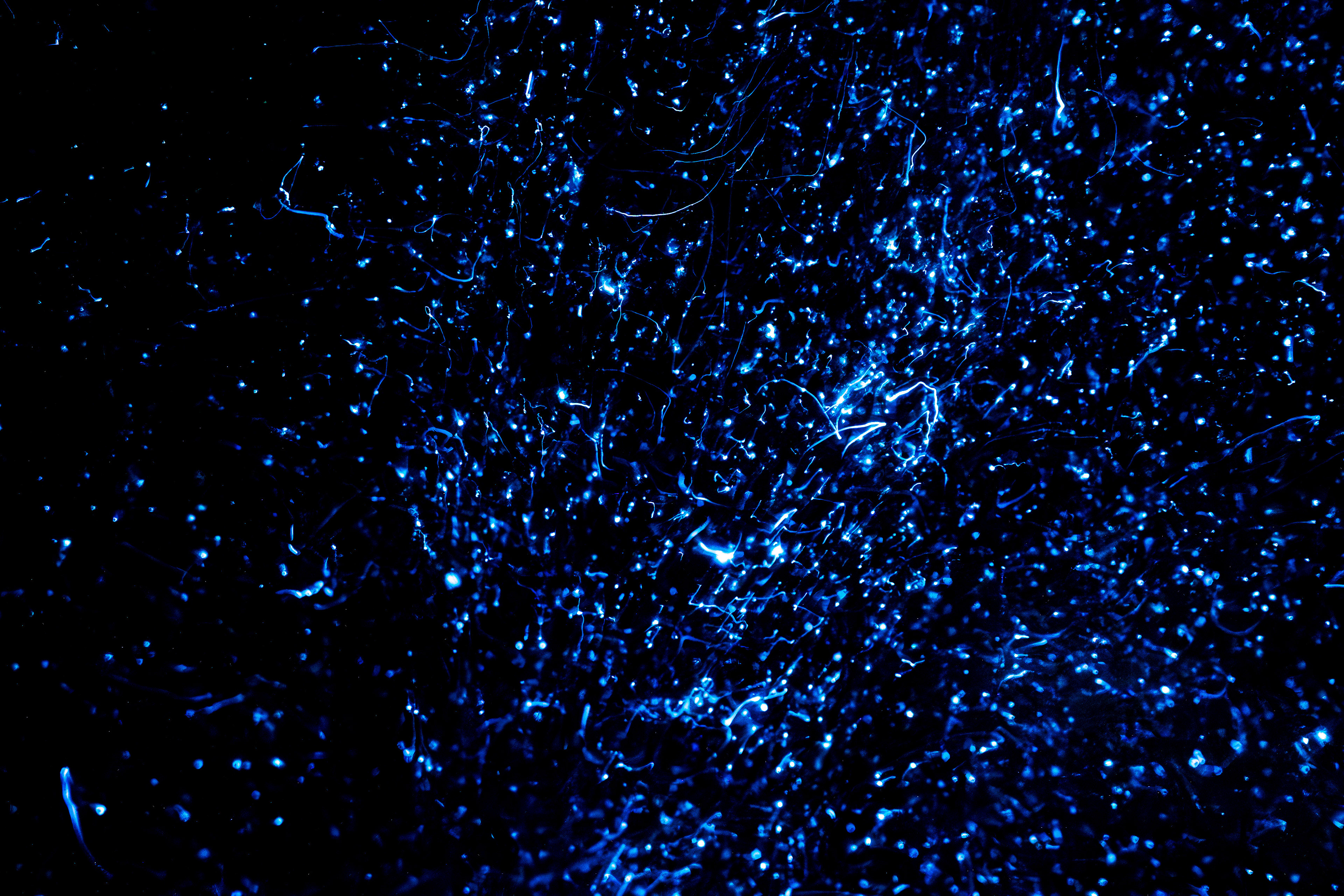 Galaxy à porté de main