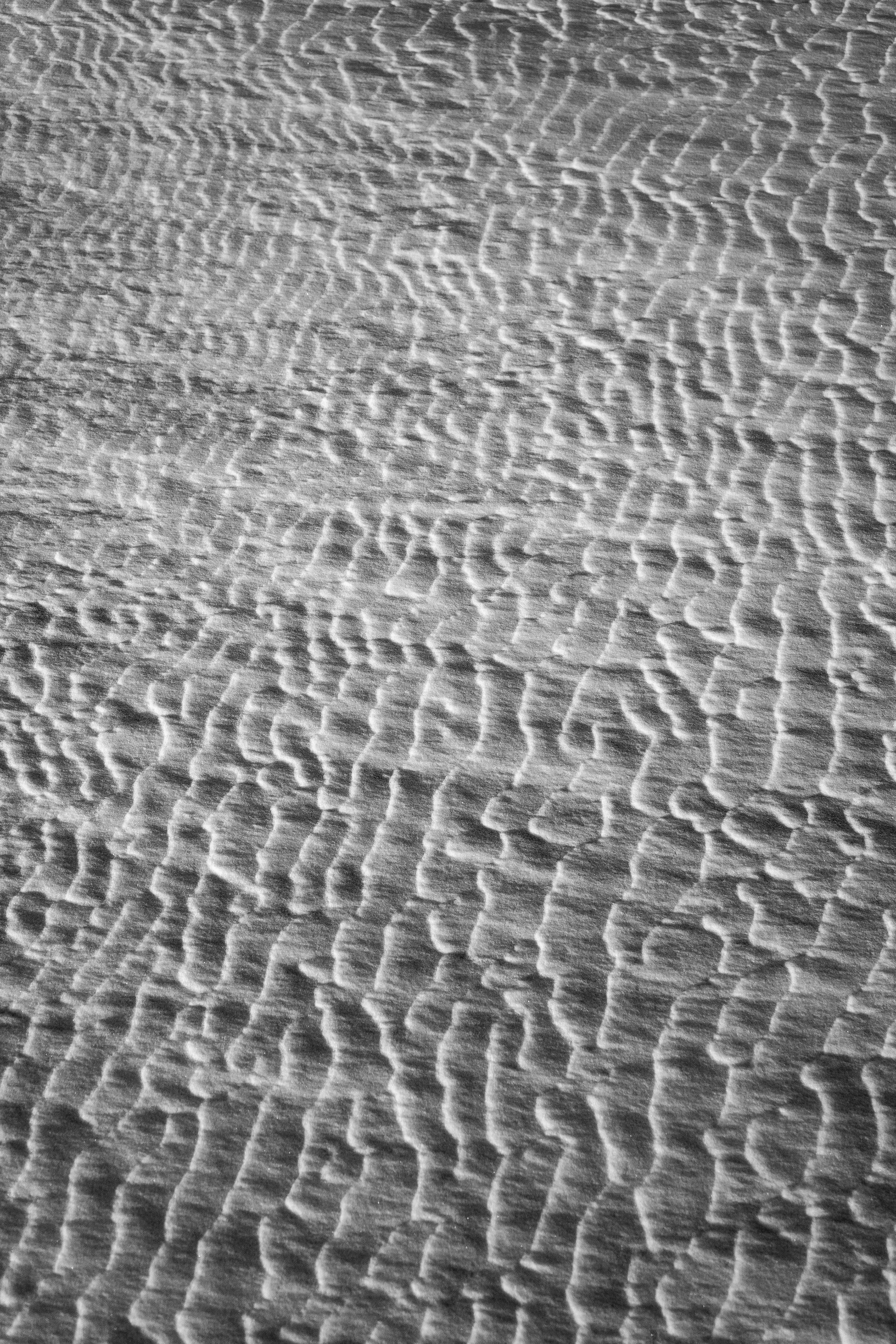 Motifs de vent