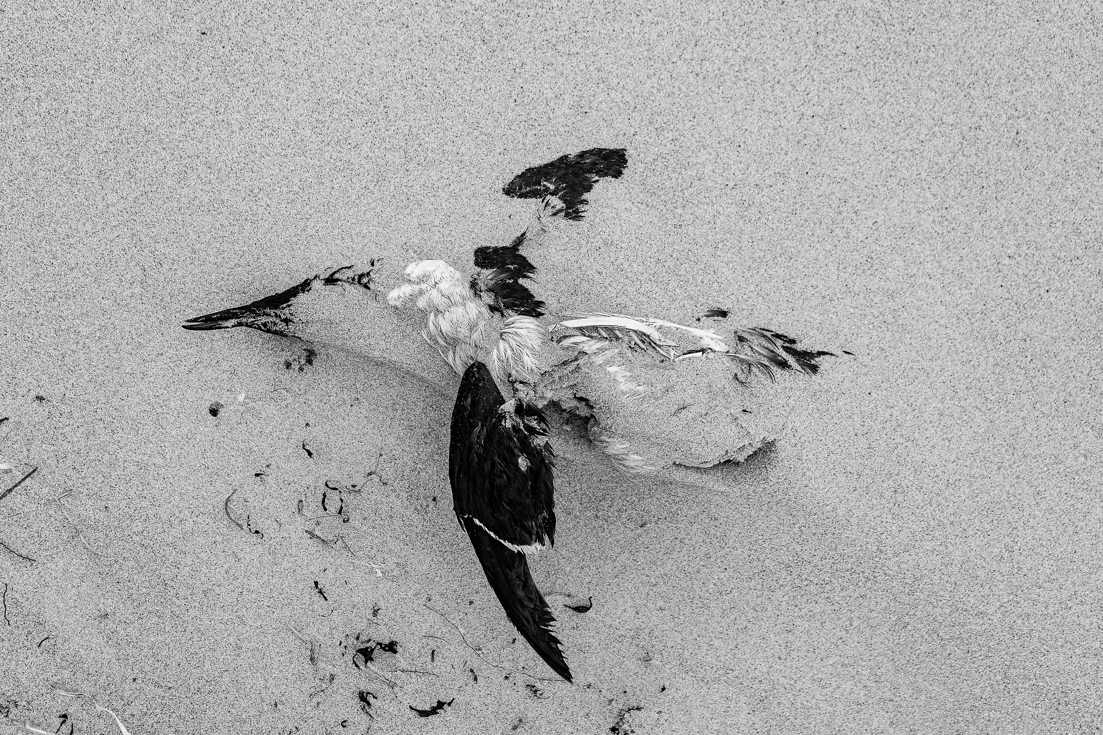 Sky remains 1