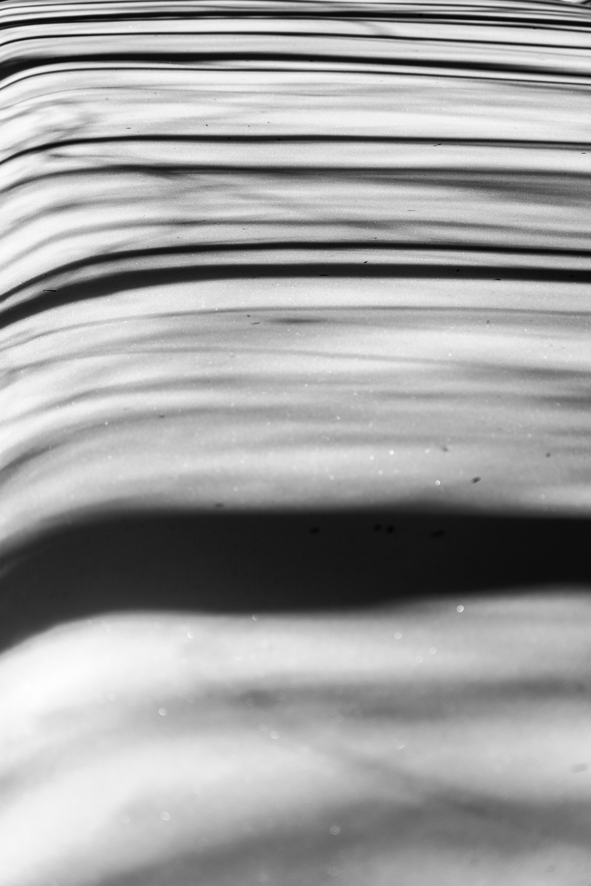 L'ombre d'une forêt d'hiver