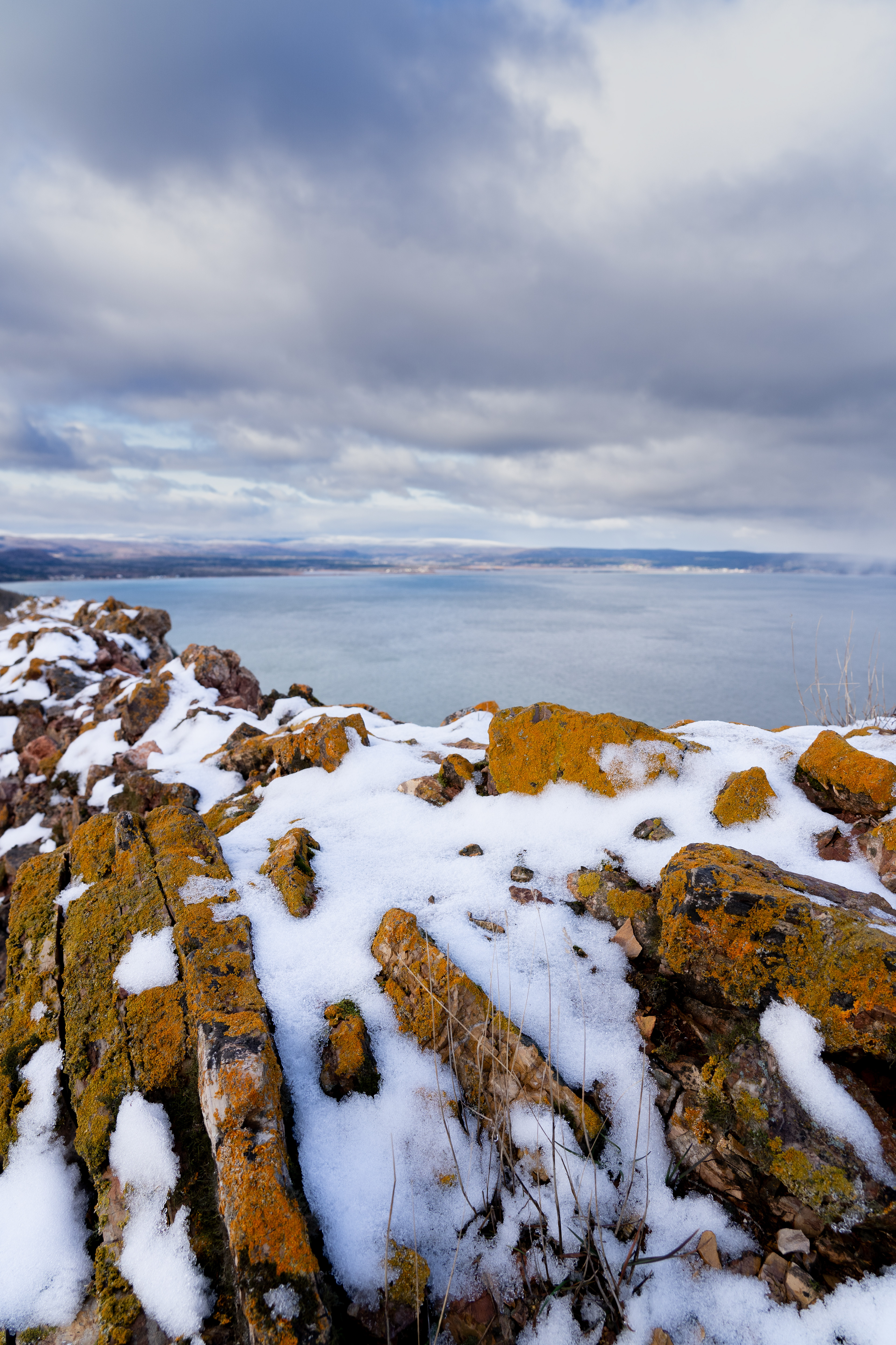 Lichens, Mer, Montagnes