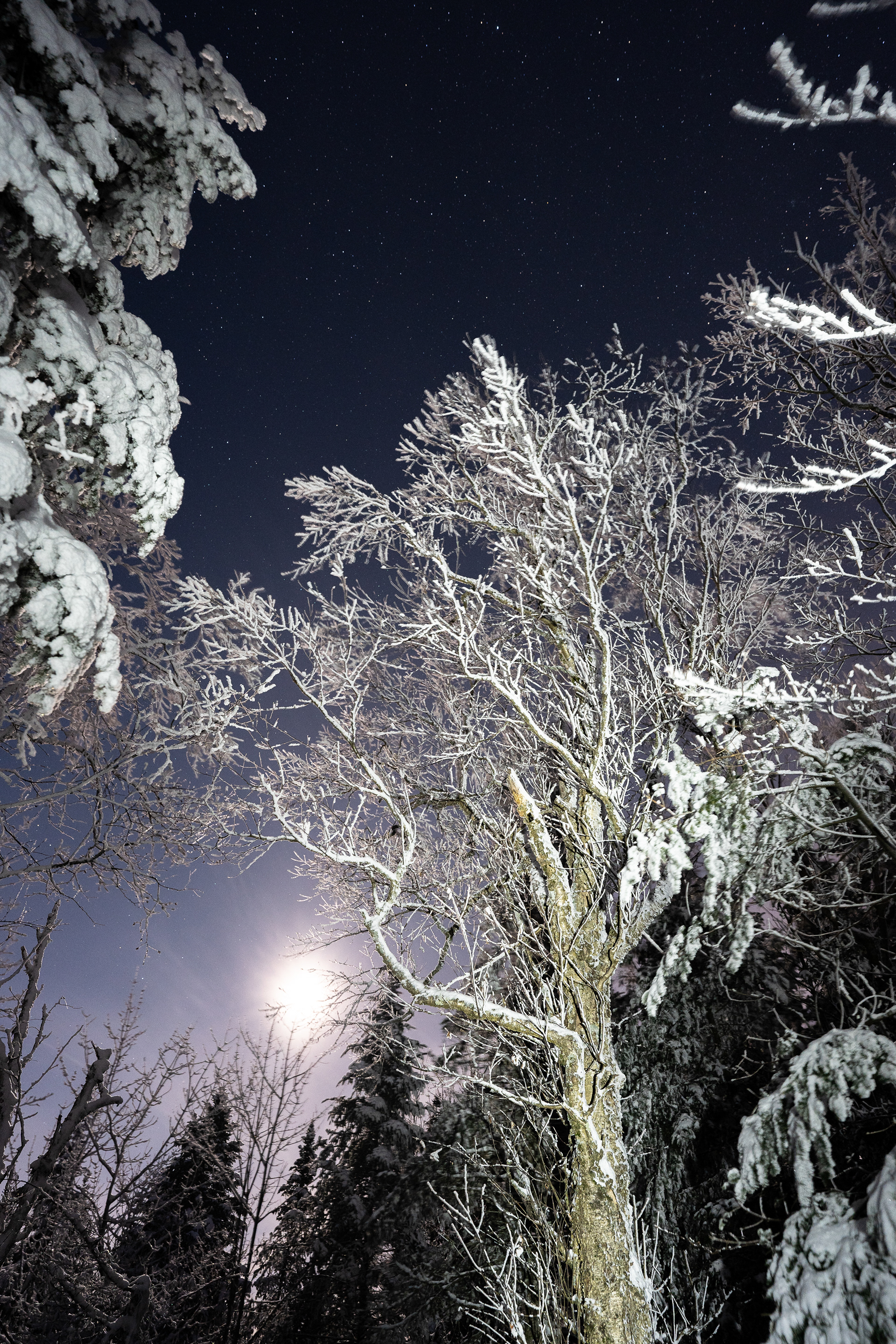 Un froid lunaire