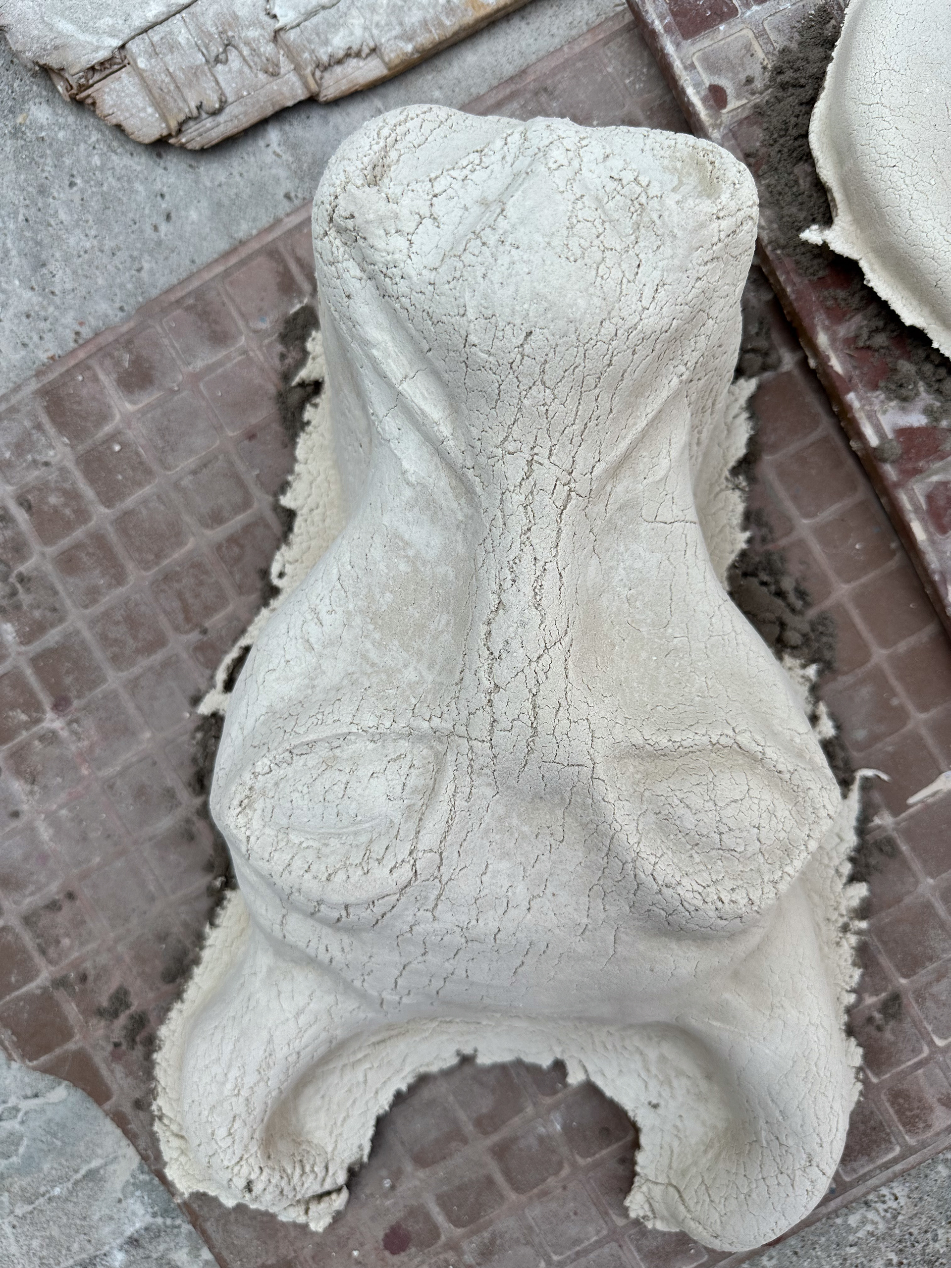 “अल्लाह की गाय” the mask made with quartz dough
