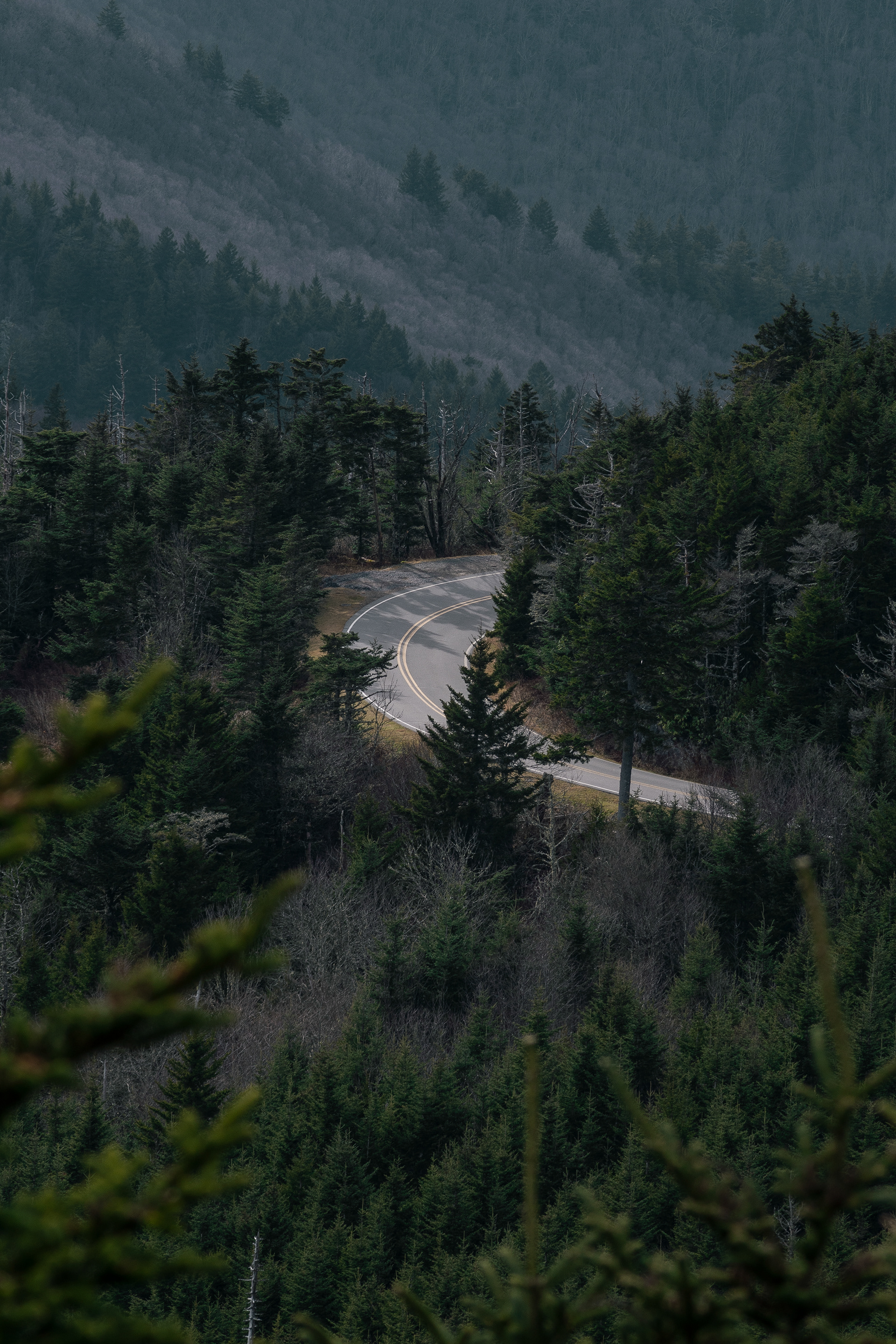 Mt. Mitchell Landscape - (2022)