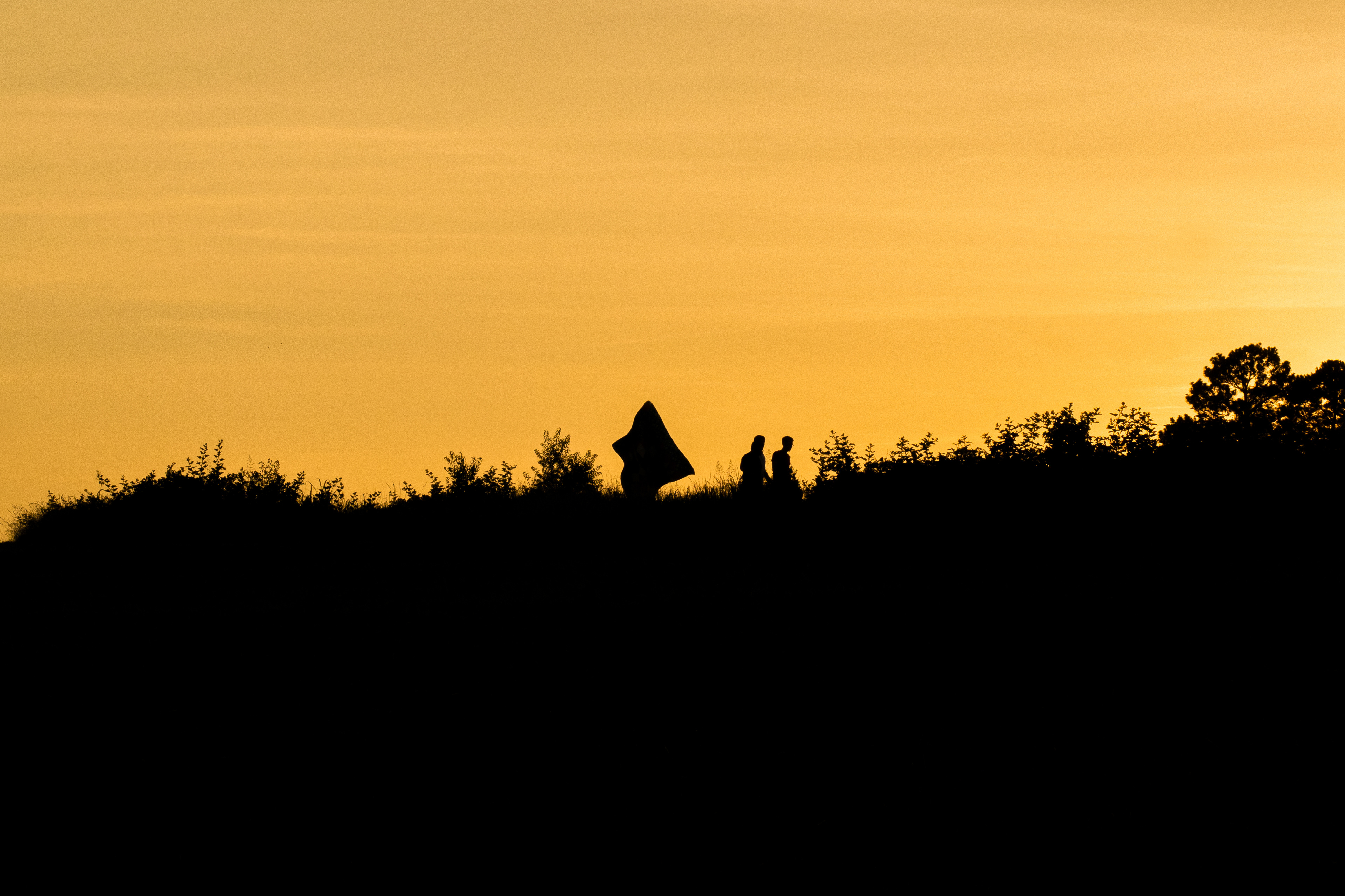 NCMA Sunset Silhouettes - (2022)