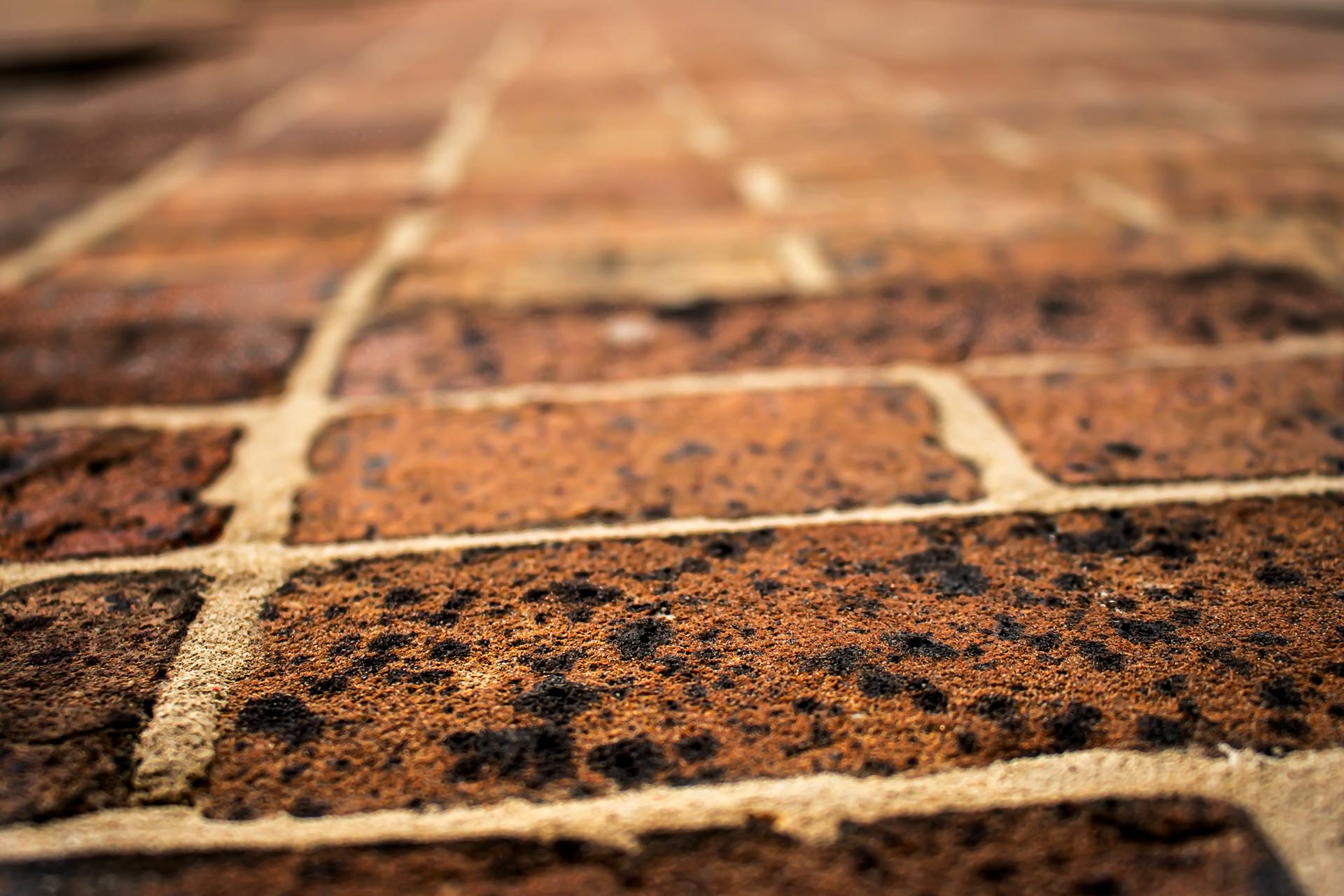 Brick Texture