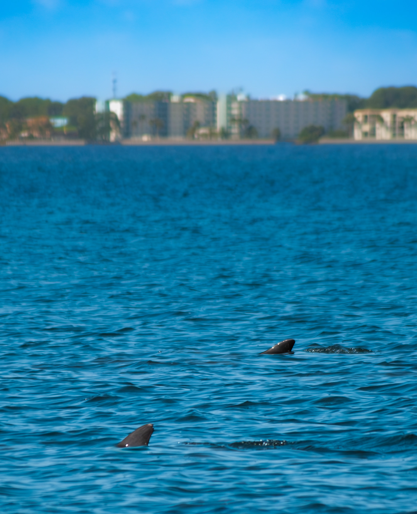 Indian River, FL