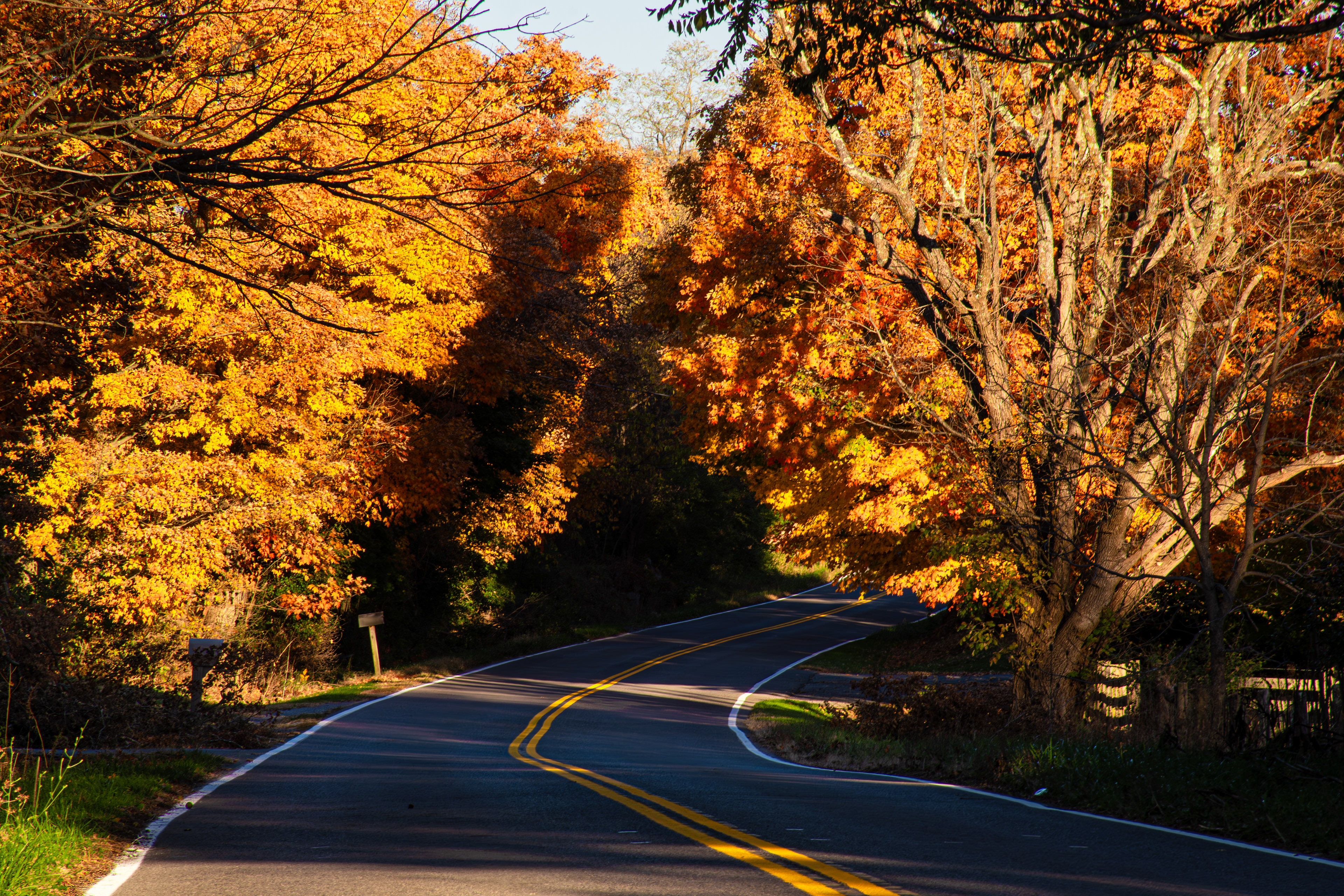 Bluefield, WV