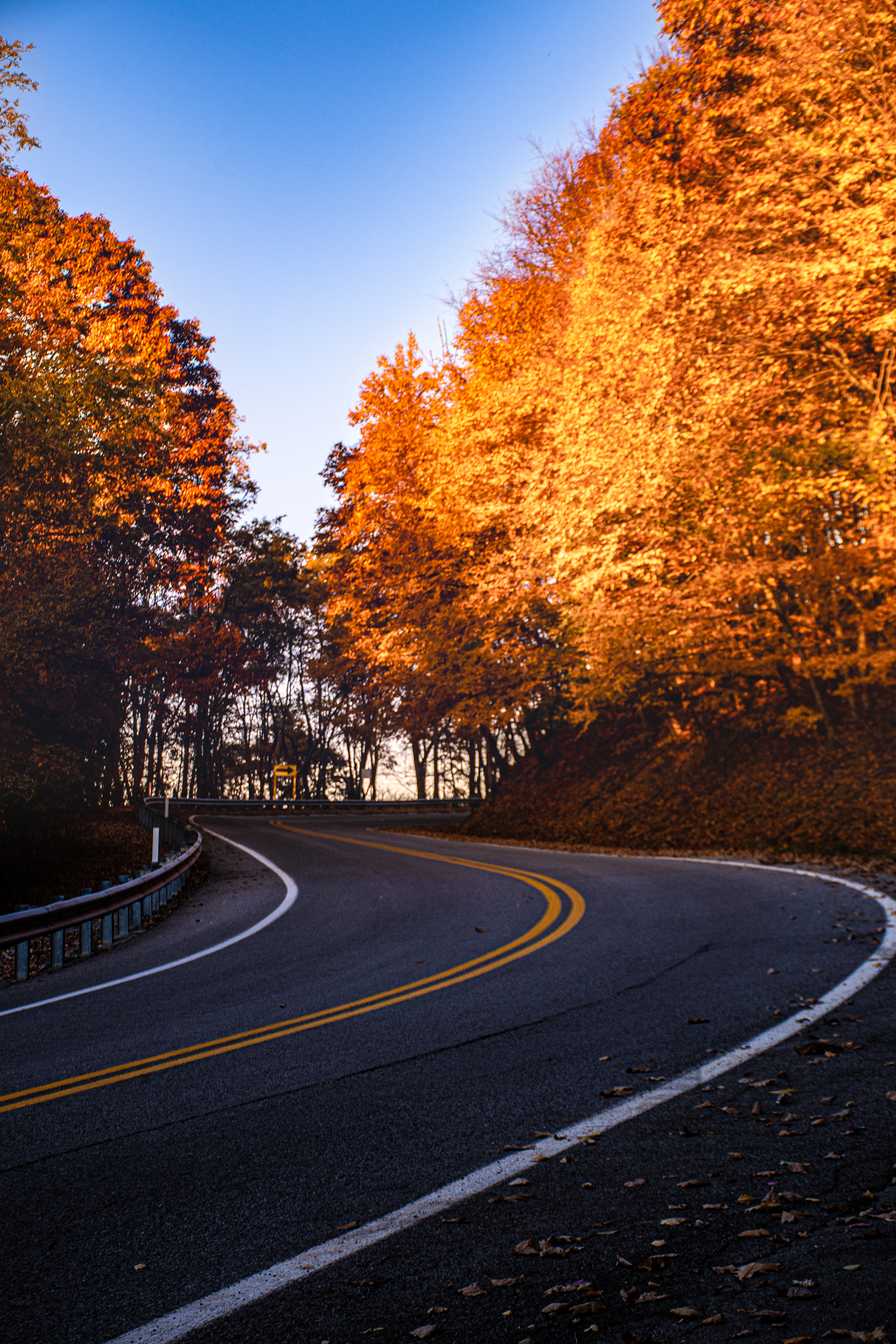 Bluefield, WV