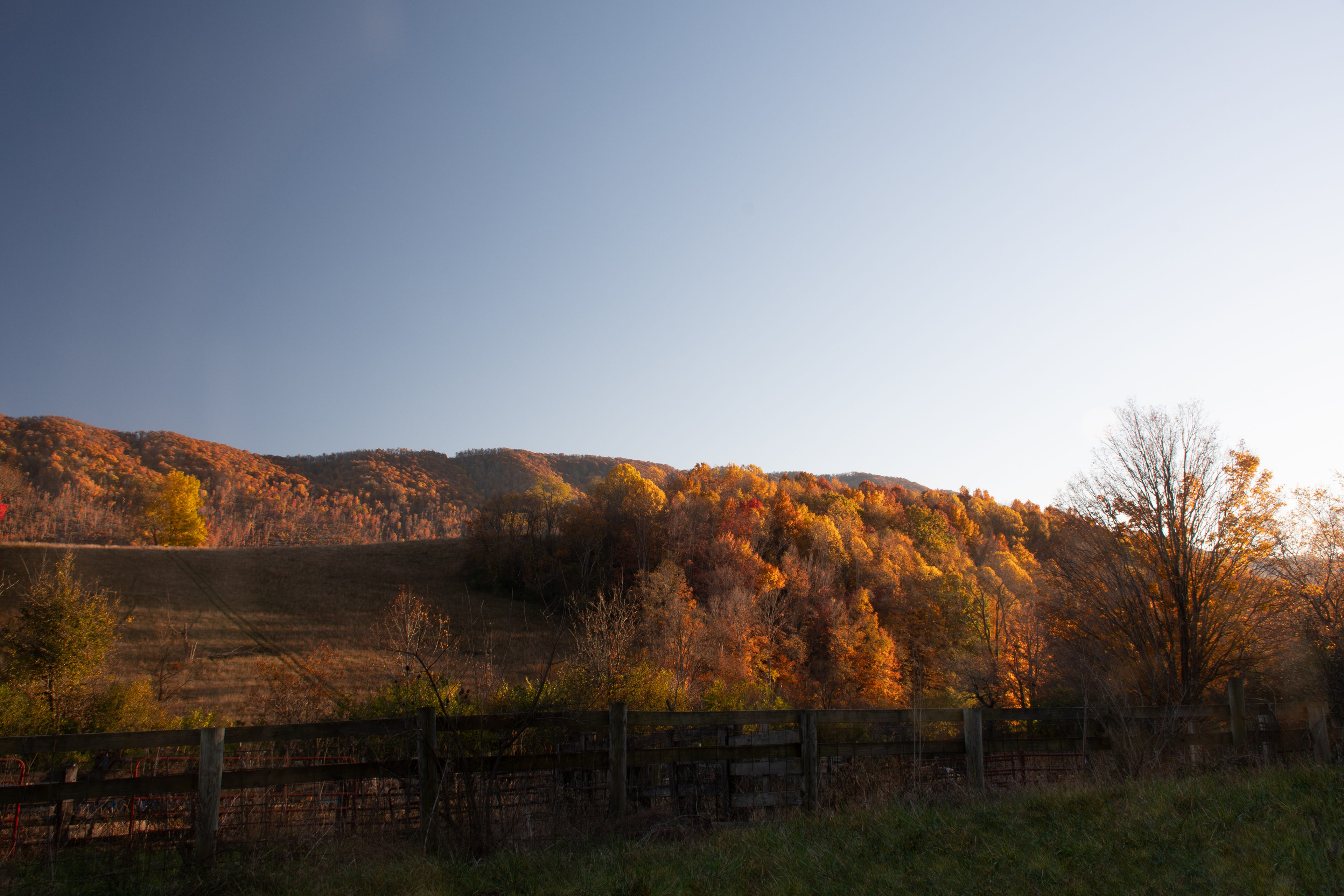 Bluefield, VA
