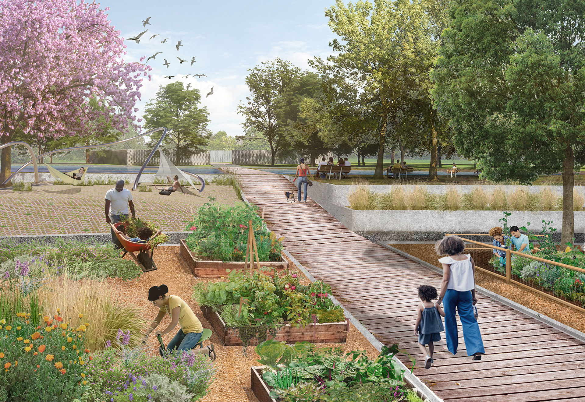 The extensive community garden facilitates food production and supplies the urban farmer’s market with locally grown produce. As a central space in the park, the garden features noninvasive and native plant species to be introduced around the site.