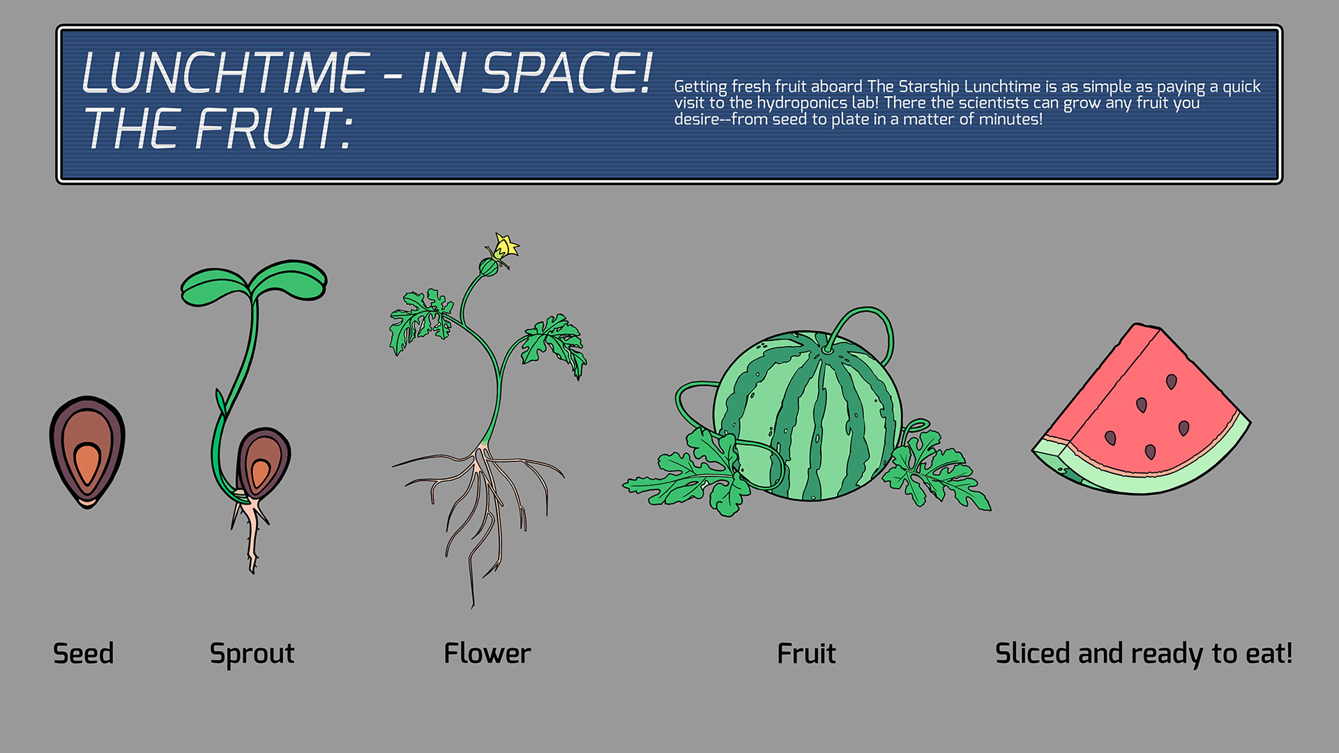 Fruit Prop Design